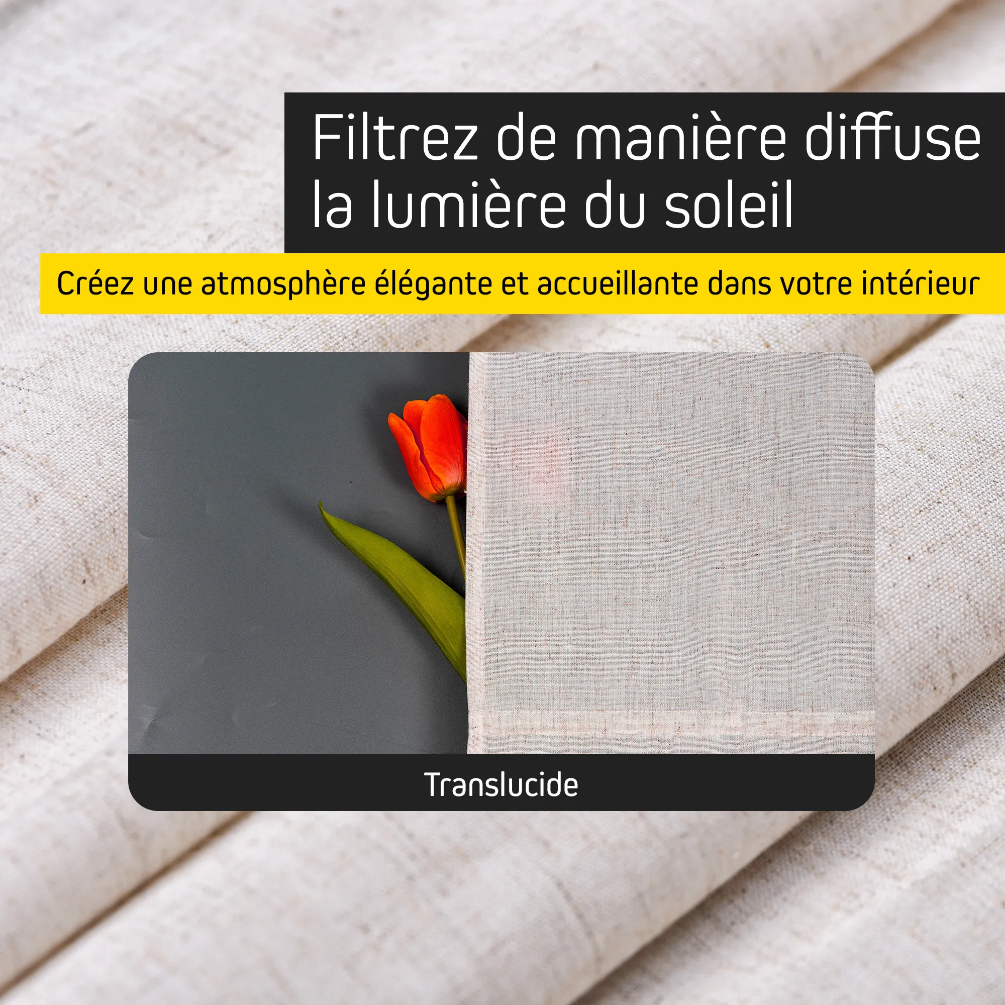 slider_image_019c8a6e8731726699a14d77a26b12cf