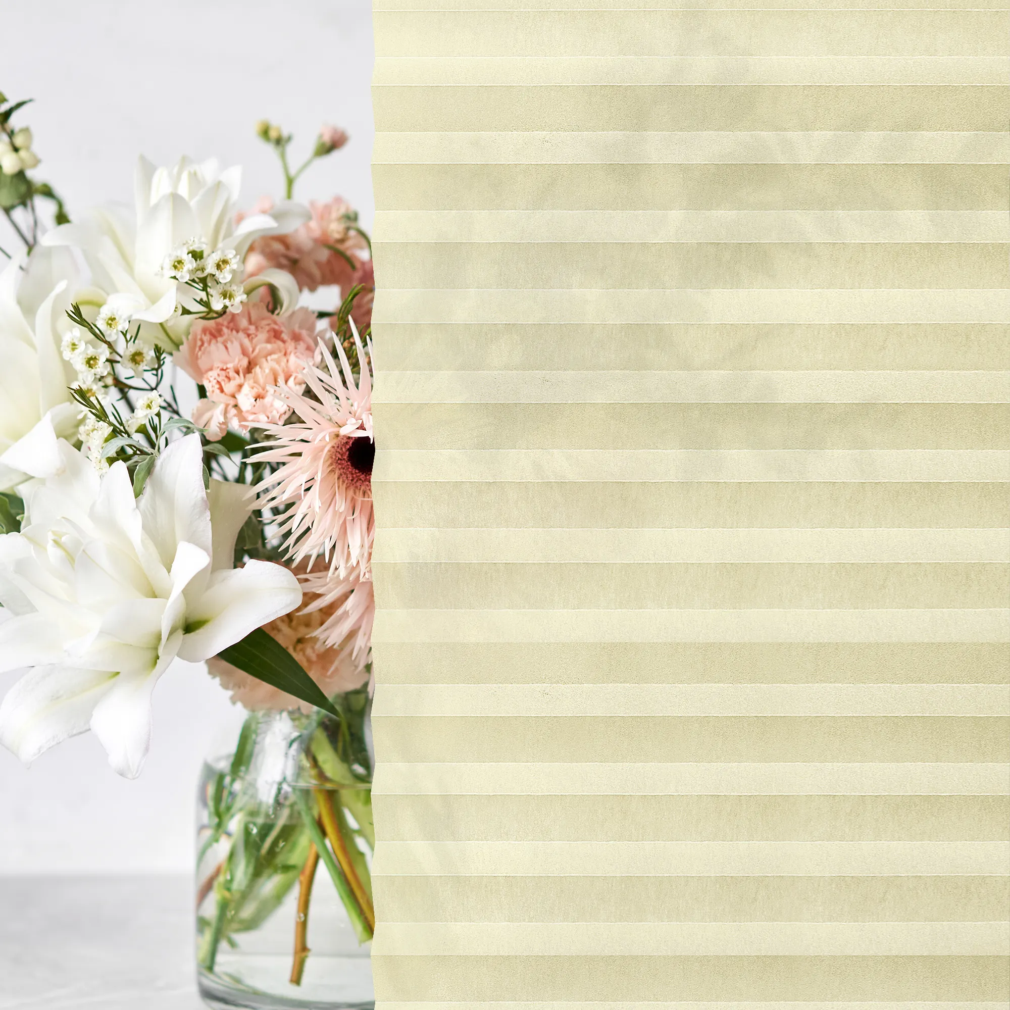 slider_image_019a93c8a2077183a808b34d8a3c1c45