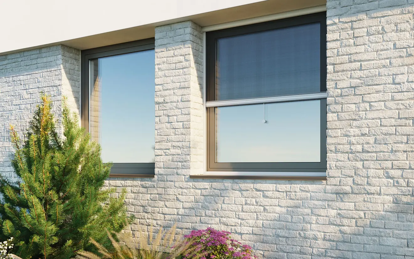 2 graue Basic Rollos