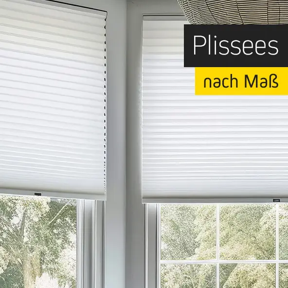 Fenster mit maßgefertigten Plissees, teilweise geöffnet, zeigt Außenansicht