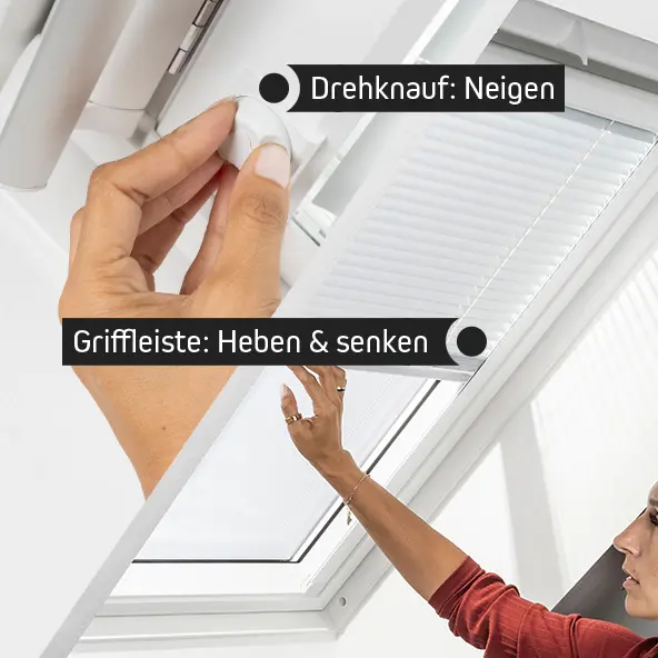 Dachfenster