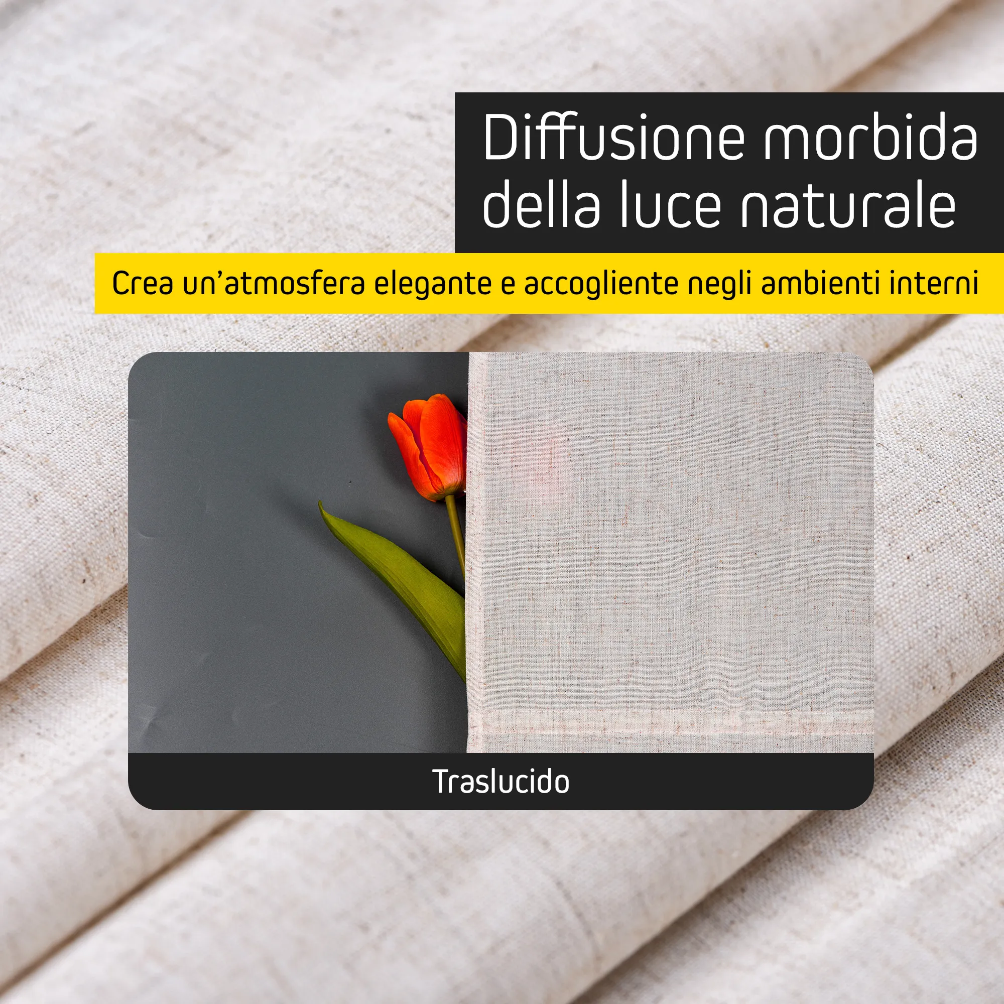 slider_image_019c8a67949173ebb7bd66cacf5d8a38