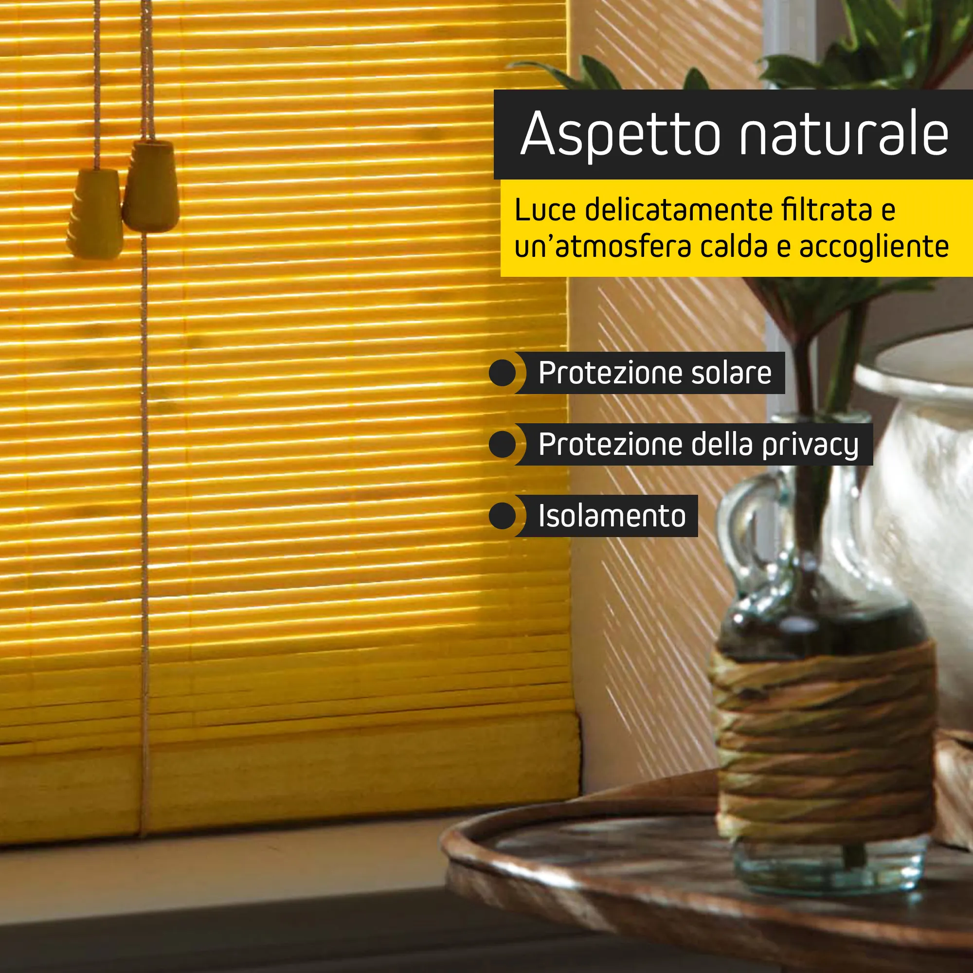 slider_image_019be6062d3676788afd4cc37e3d0074