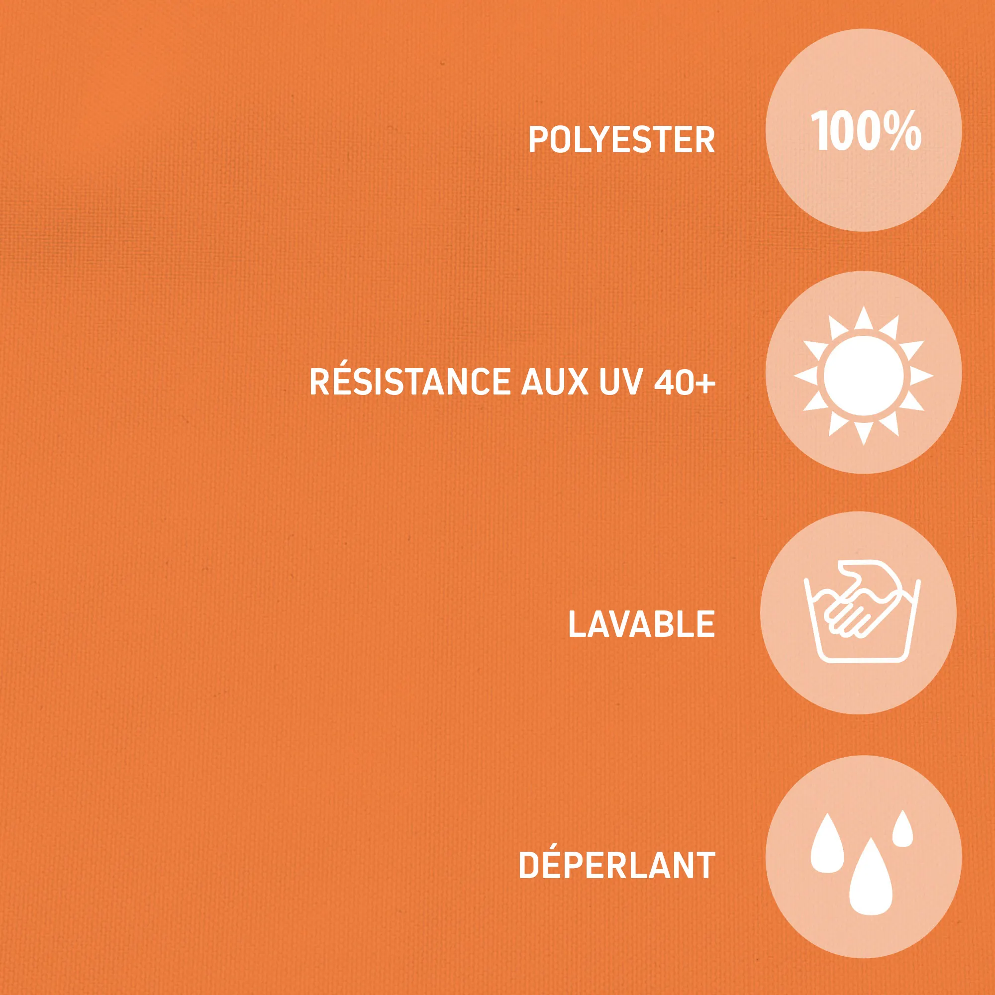 slider_image_019a733f5bea7940bbec80f67963f8a1