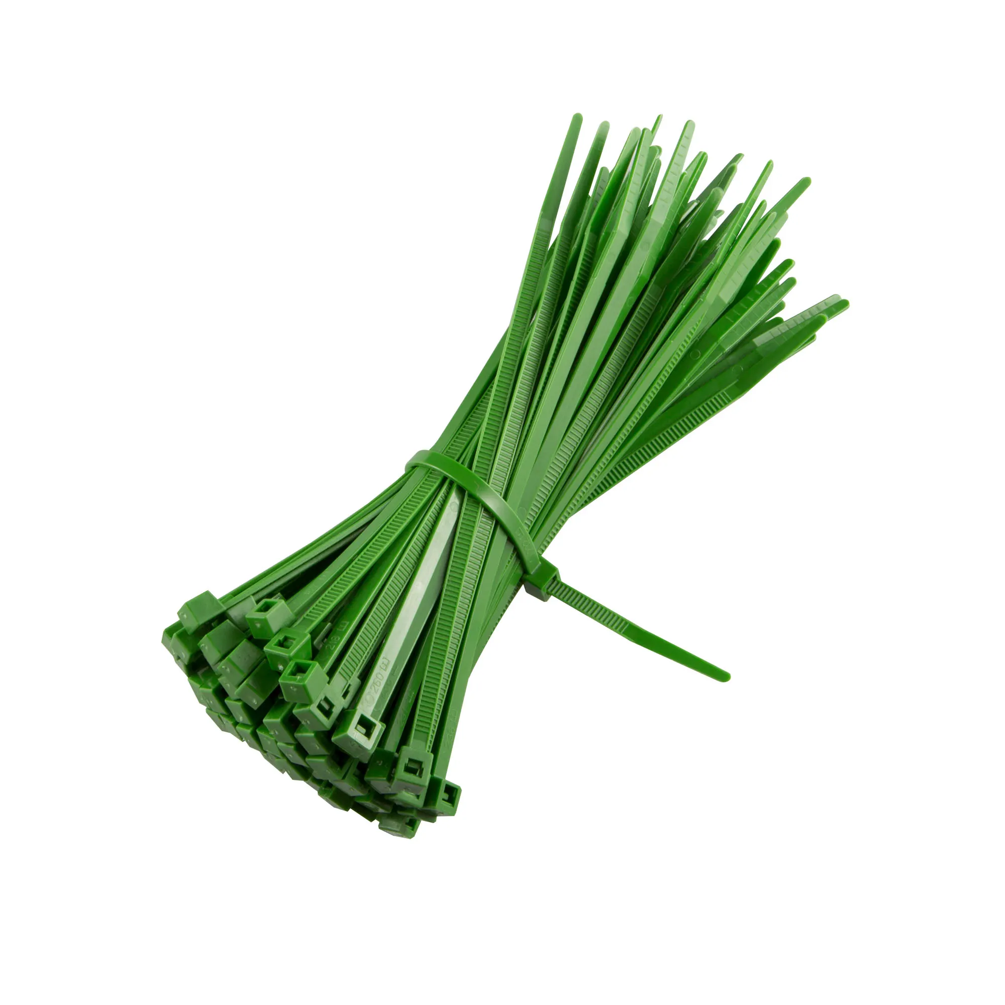 slider_image_0198fbc90c2f7347a5a171d7627dc2ac