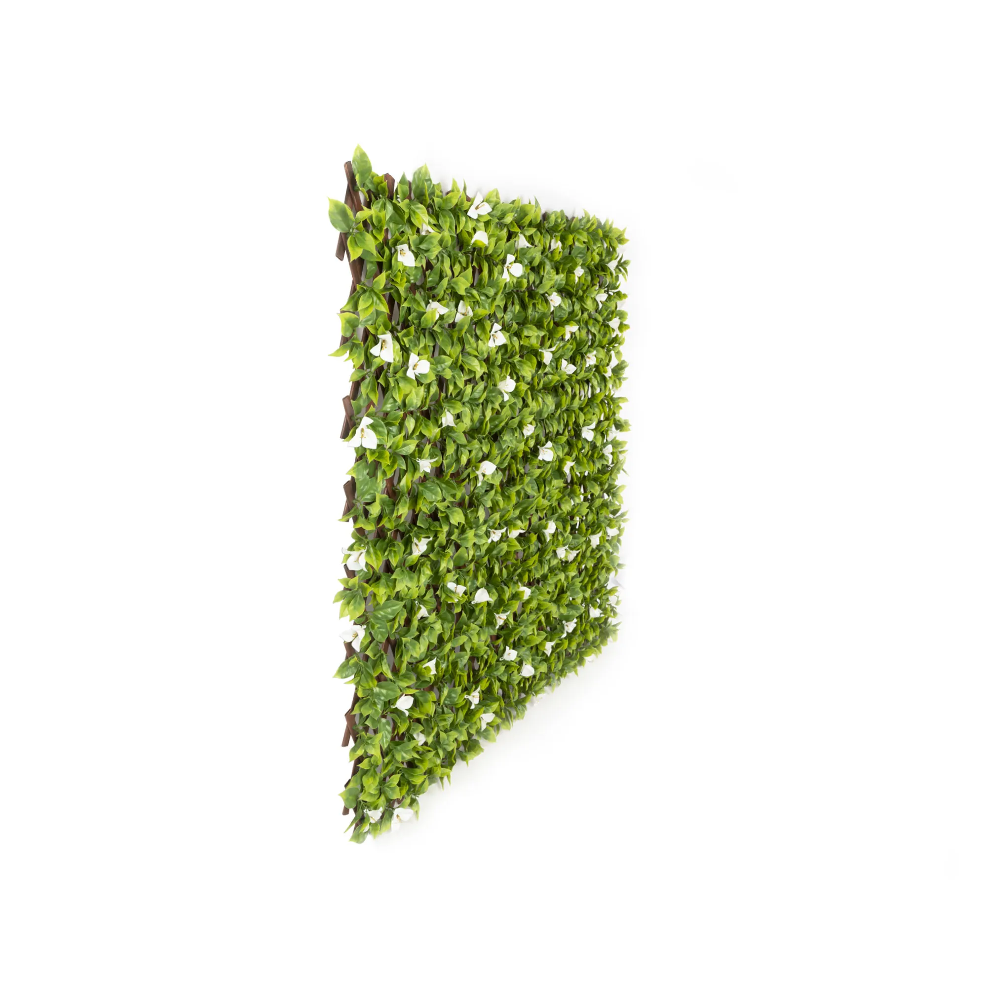 slider_image_0194ff3dff42726a96900375c45b1712