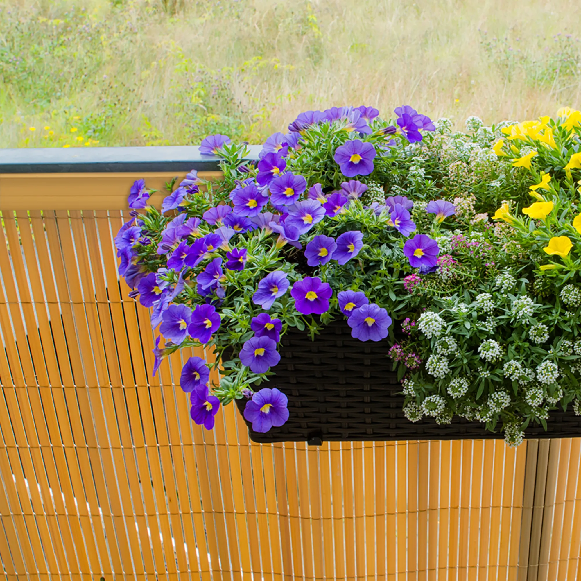 Profilo di copertura in PVC su pannello di protezione con fioriera in primo piano