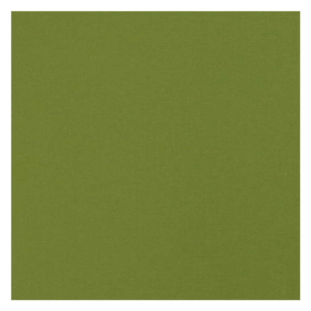 Échantillon tissu pour store banne, lambrequin et store de balcon | R-160 vert, Recasens