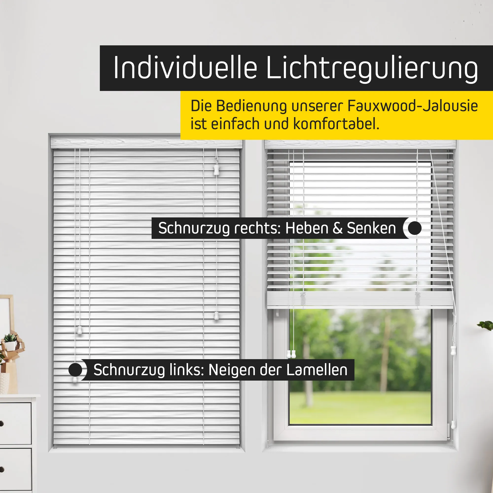 slider_image_019a86db02f5718bb0ca2e270c6121bf