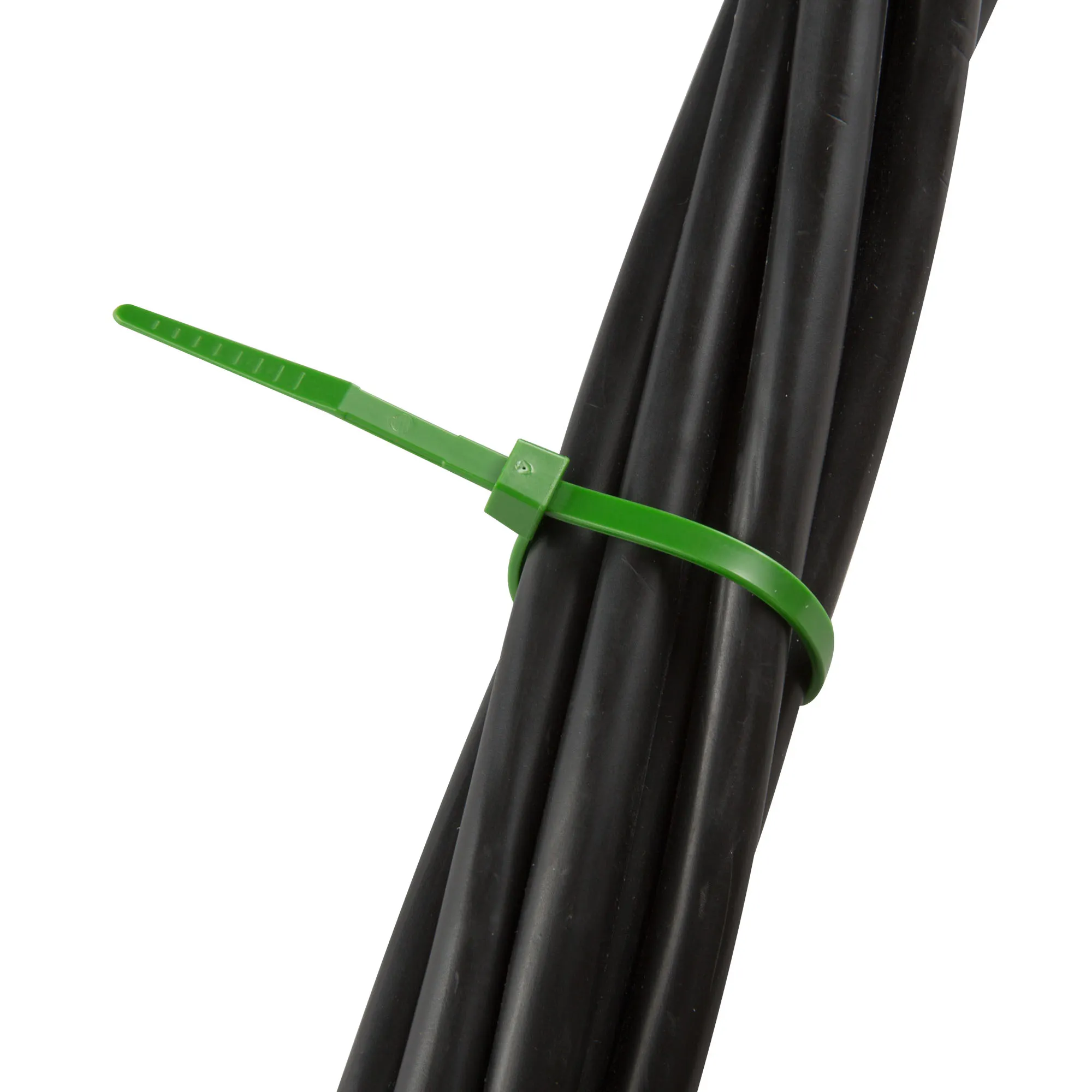 slider_image_019b03bd43f277d8a2409320e8659147