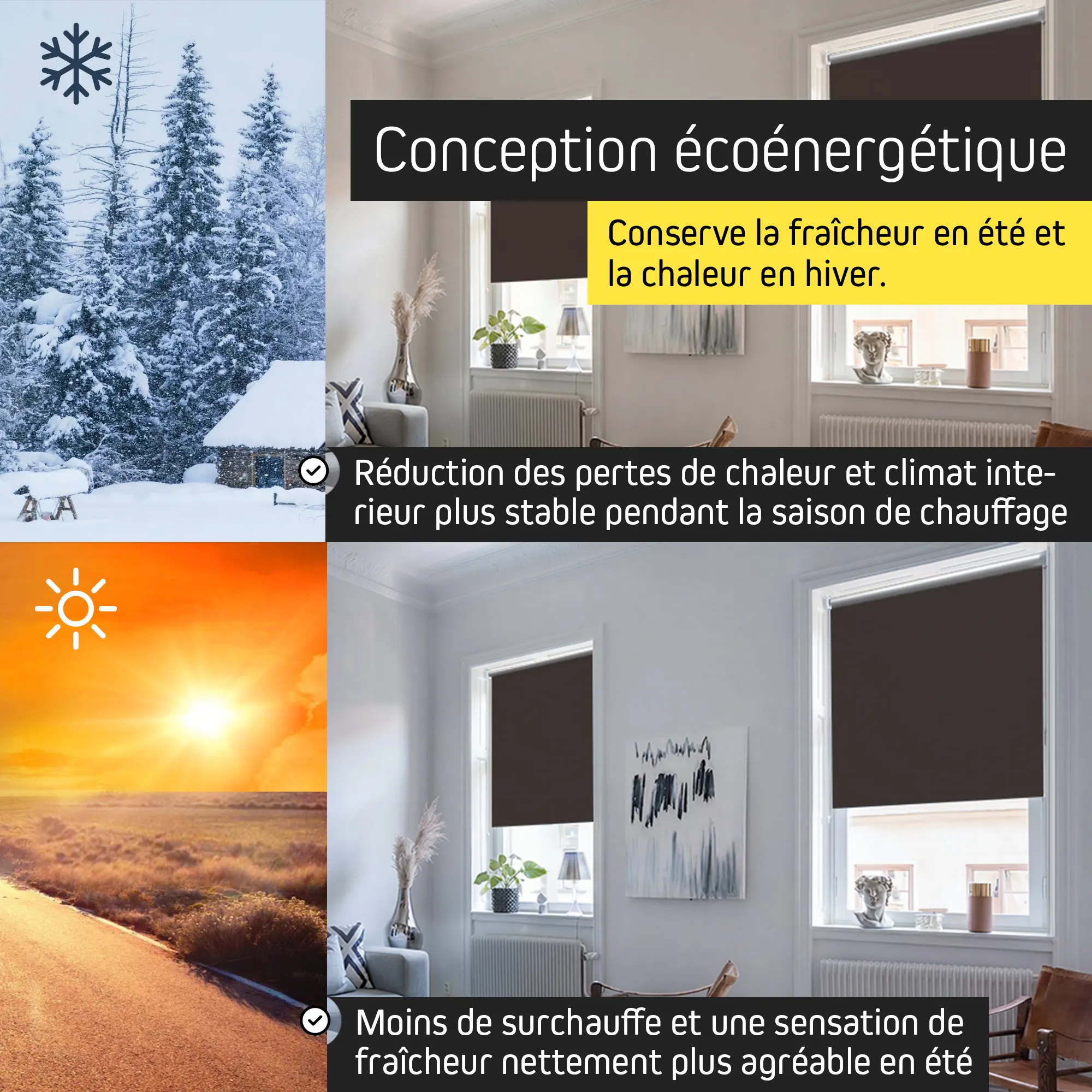 slider_image_019d4379e3fe756198b0415c562818e4