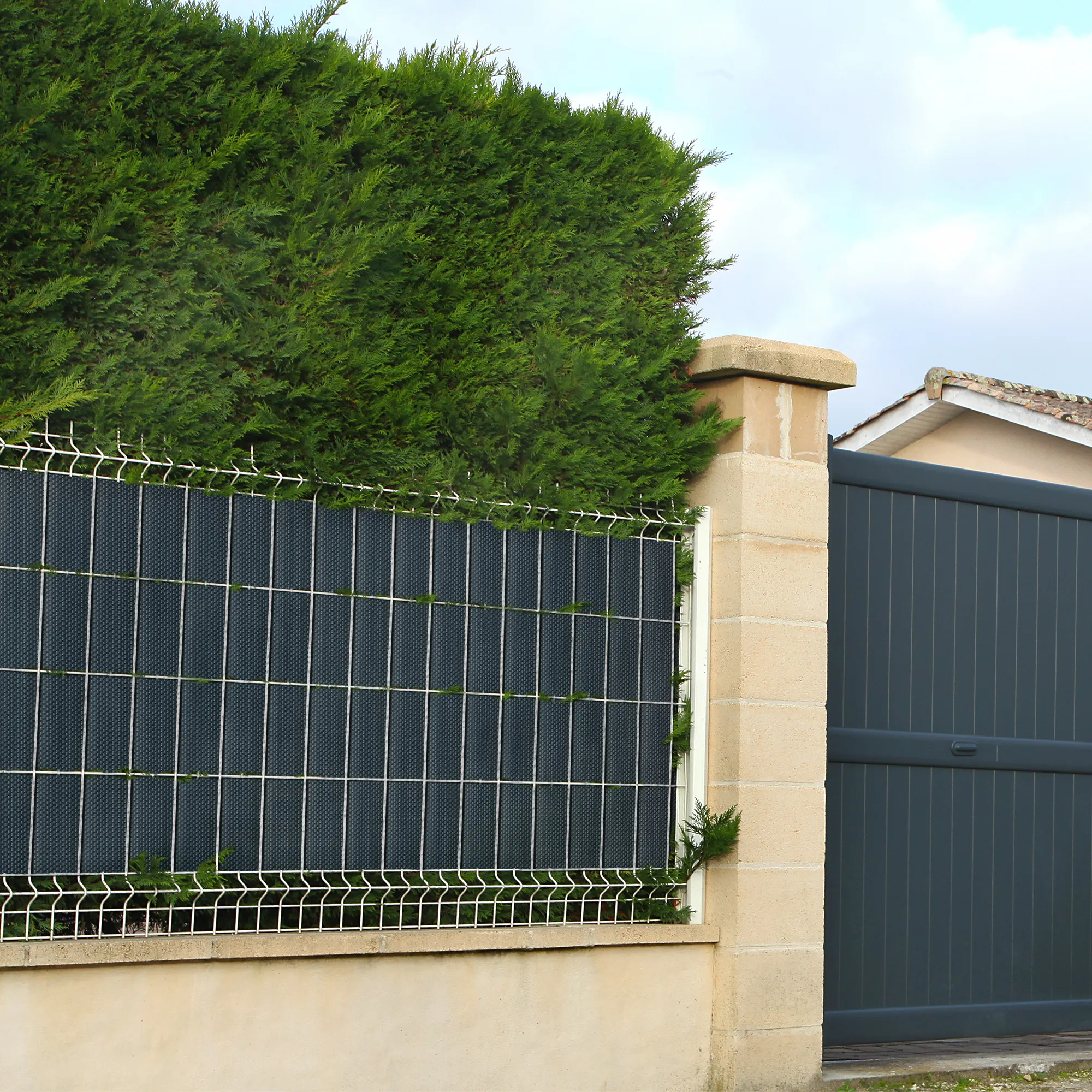 slider_image_019d06852a9d703e9860480248f281f7