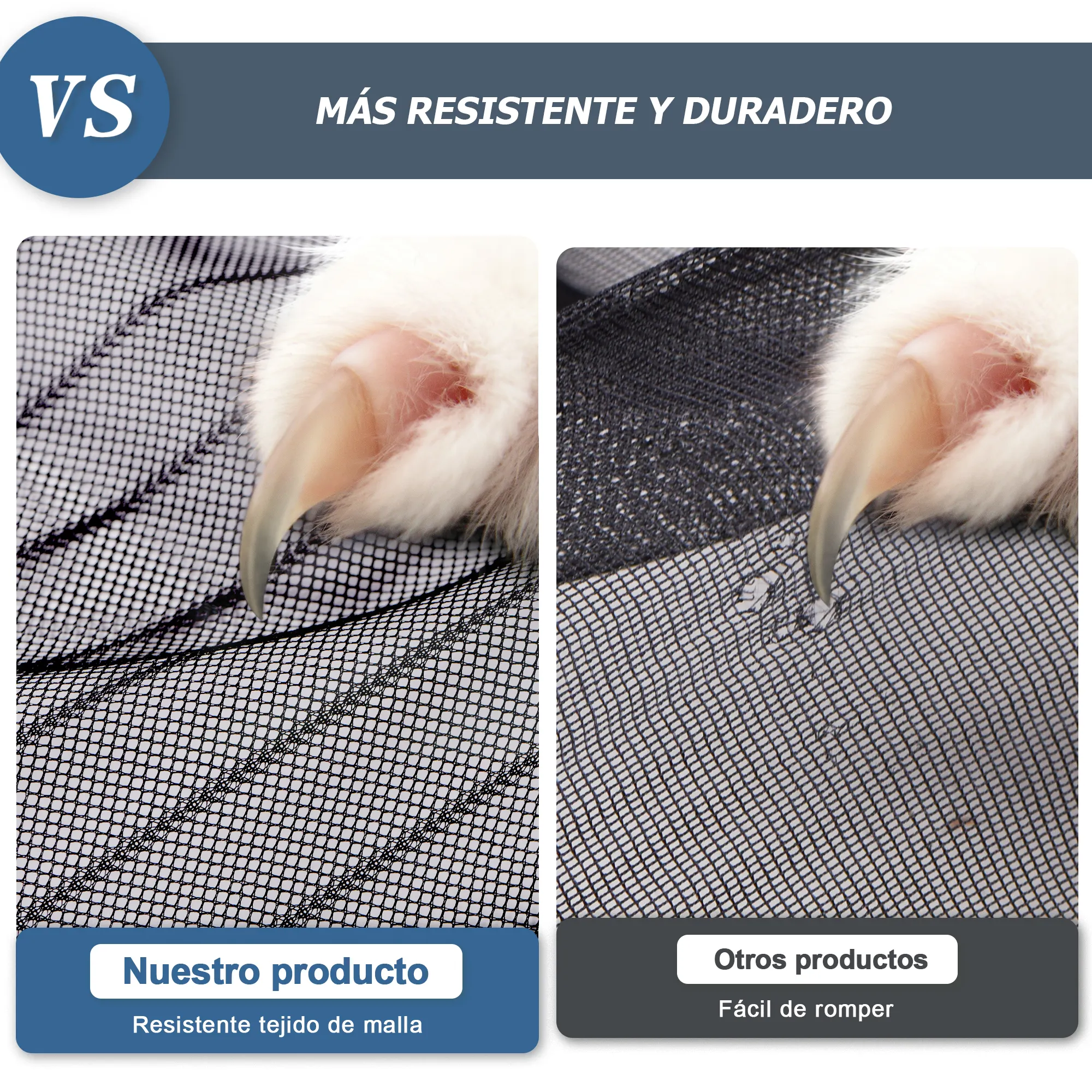 slider_image_019d85838c6f7da68f98102484c25379