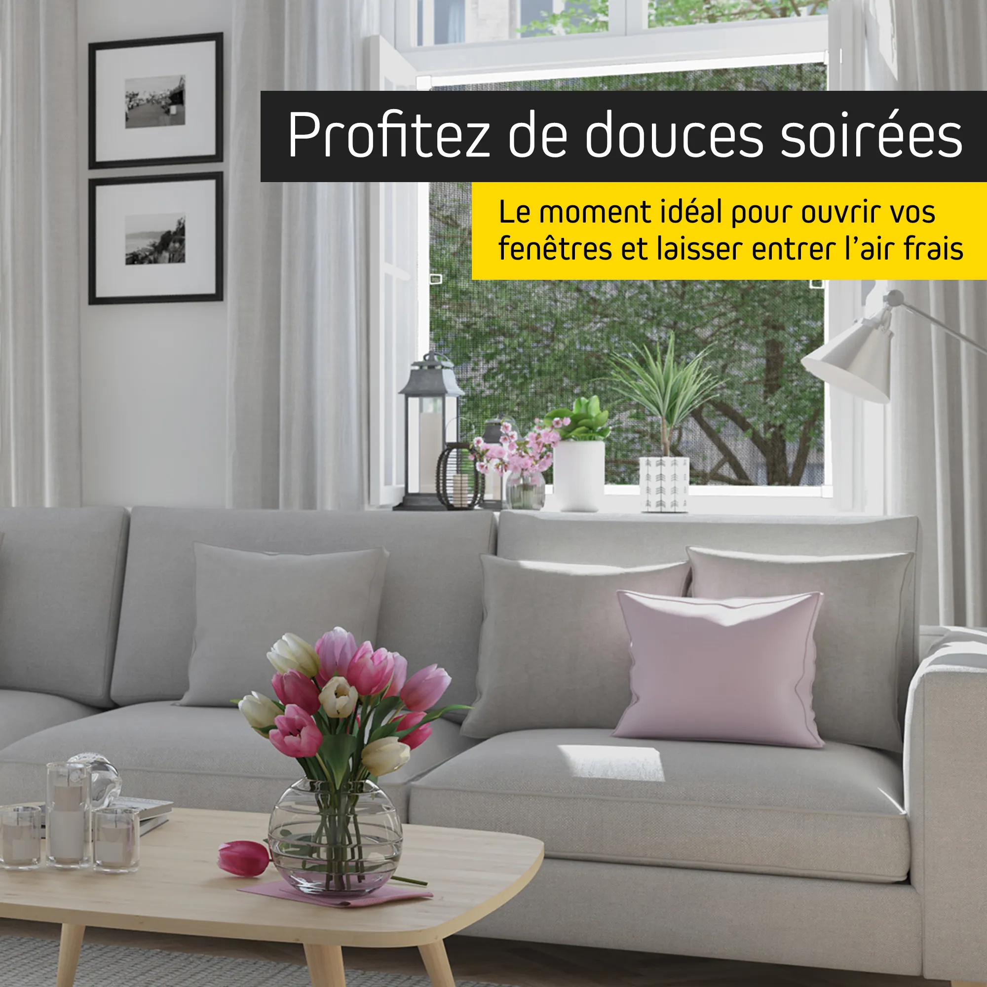 slider_image_0199ce40503478329371a7ed1b16f9cc