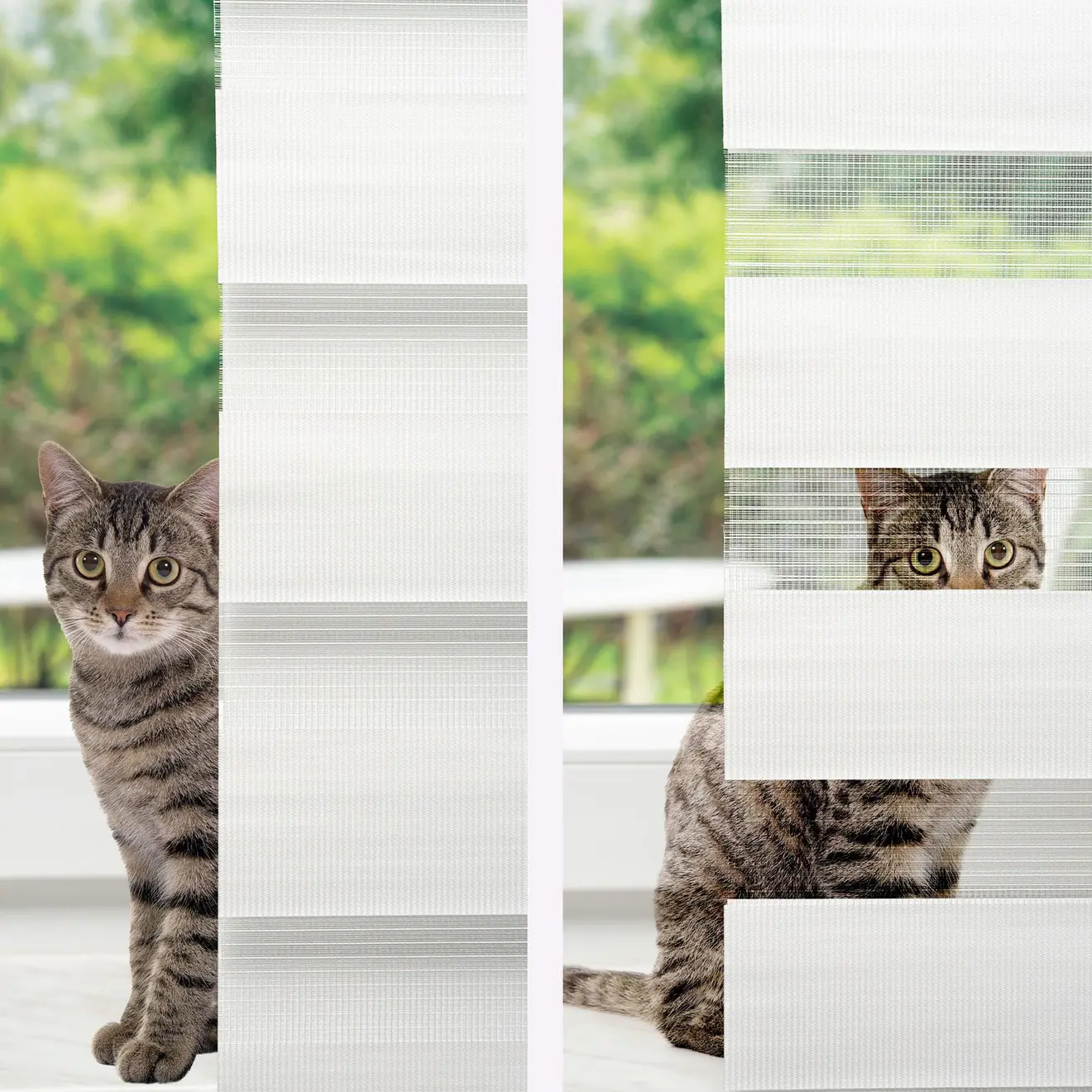 Klemmfix Doppelrollo vor Fenster mit Katze im Hintergrund
