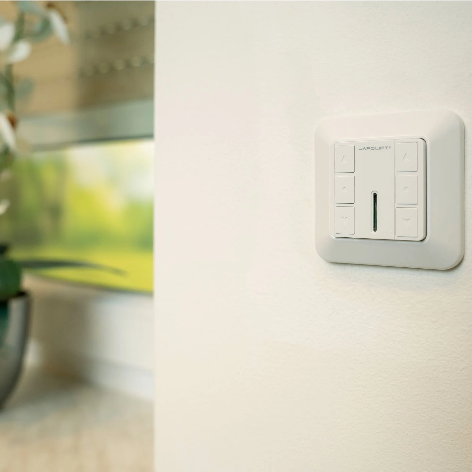 slider_image_019dcee13c87702da1c5cc0f69b77fa5