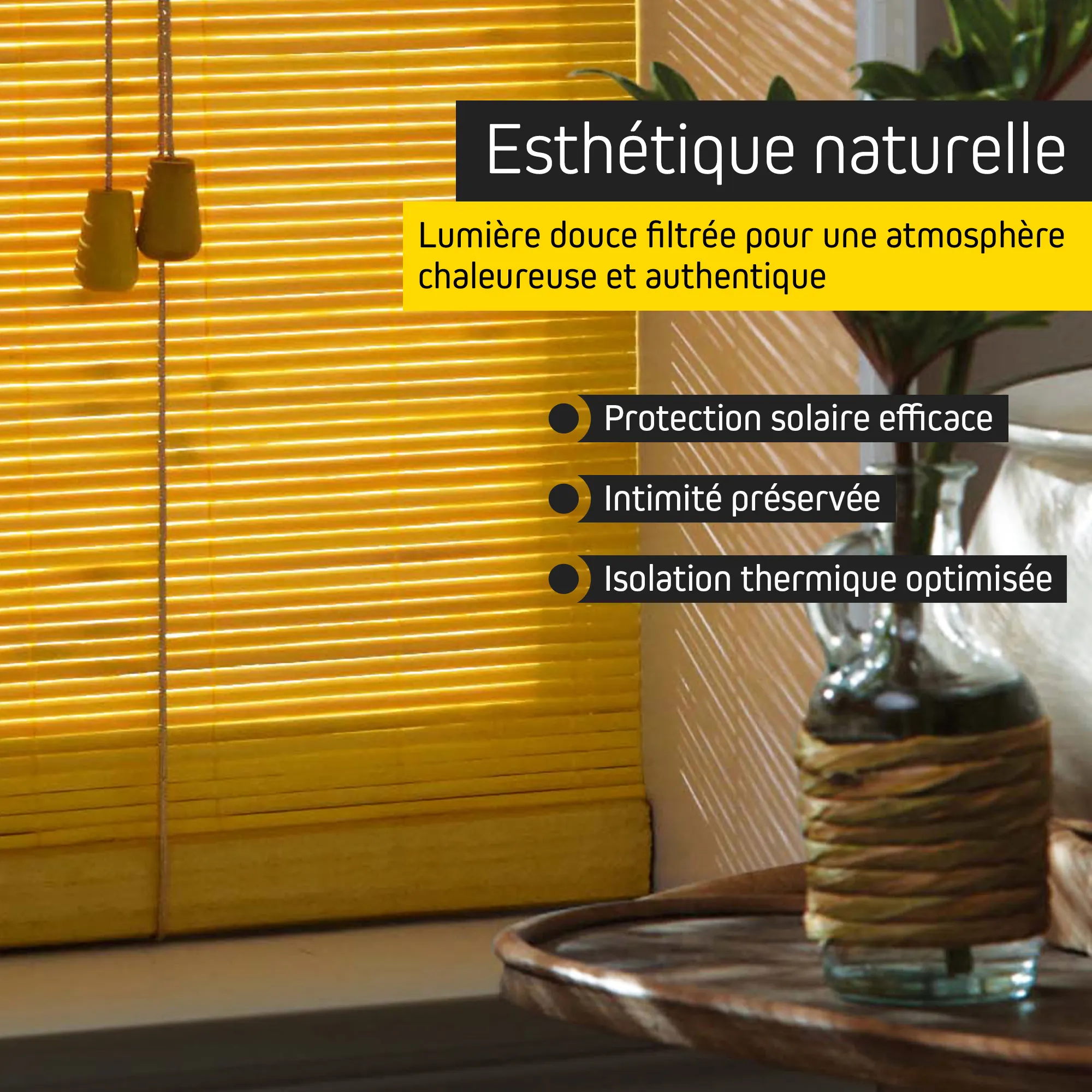 slider_image_019b2225f0f77436b9af7532df21eb77