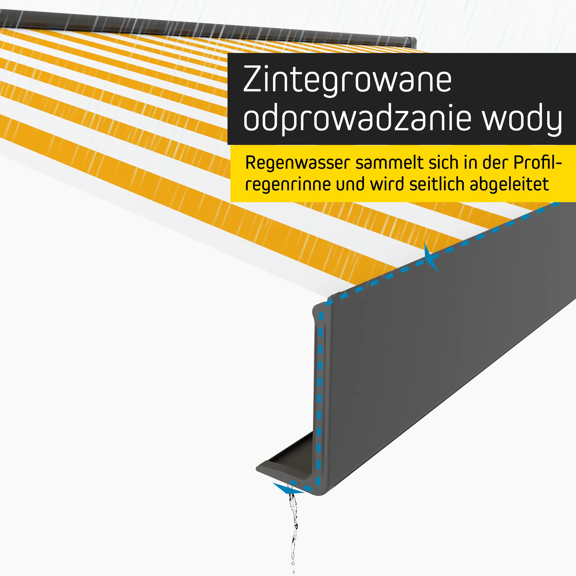 slider_image_019b9d32a071732c8e37fc5a1bb047e4