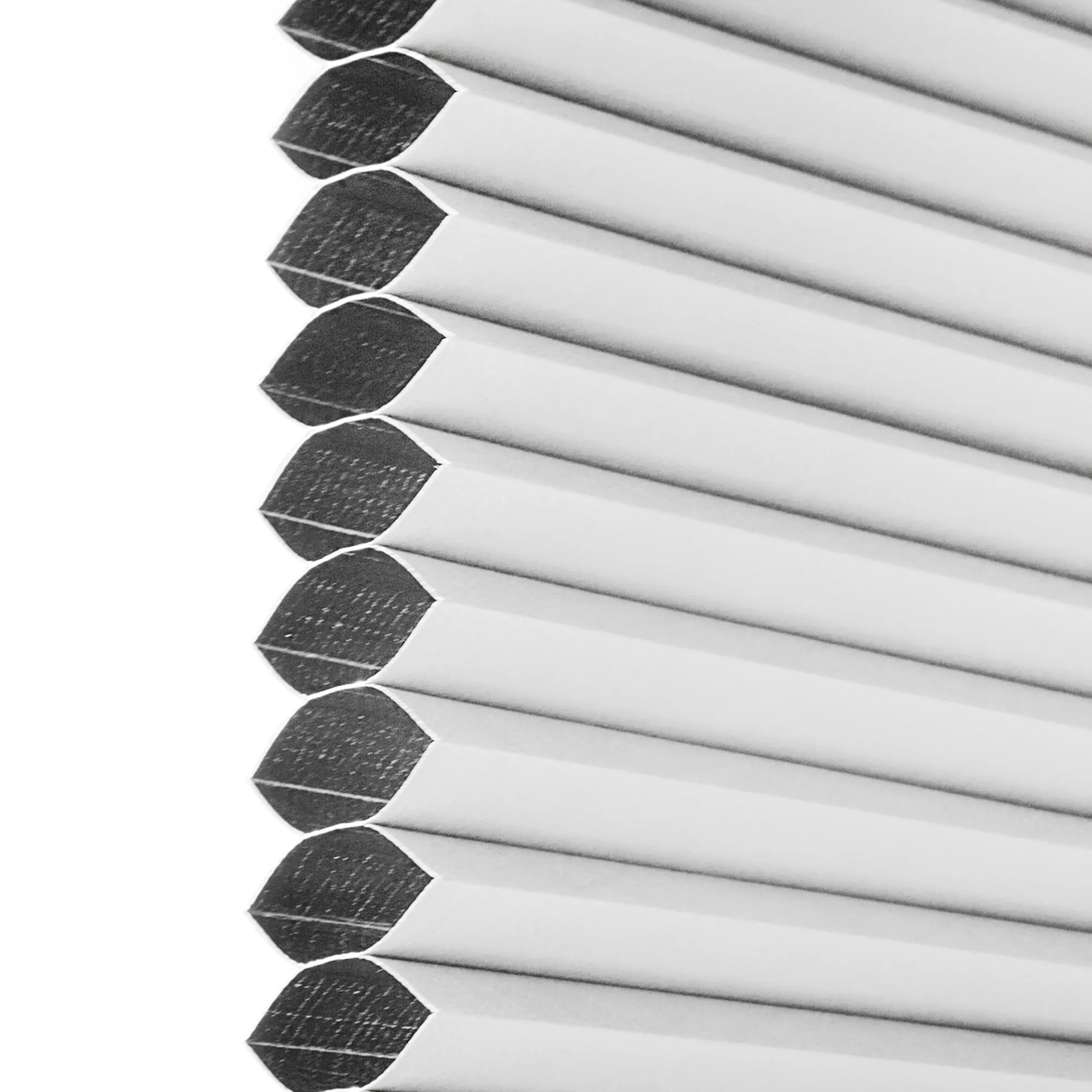 slider_image_019d19e3812077f883ef229293a2c8bd