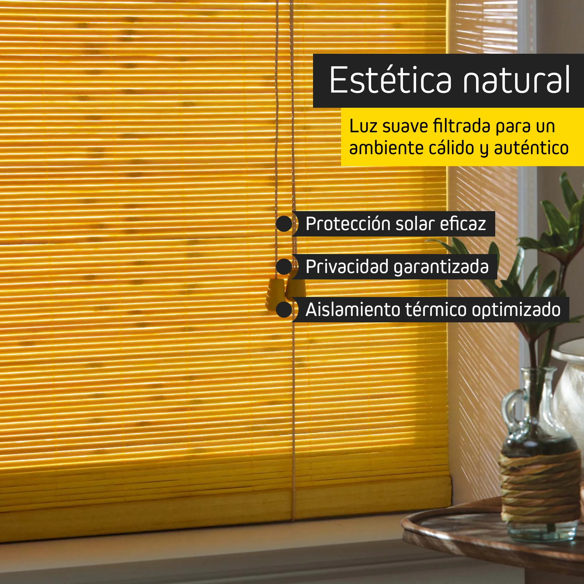 slider_image_019beb21c83476a58f6eb9443c710be4