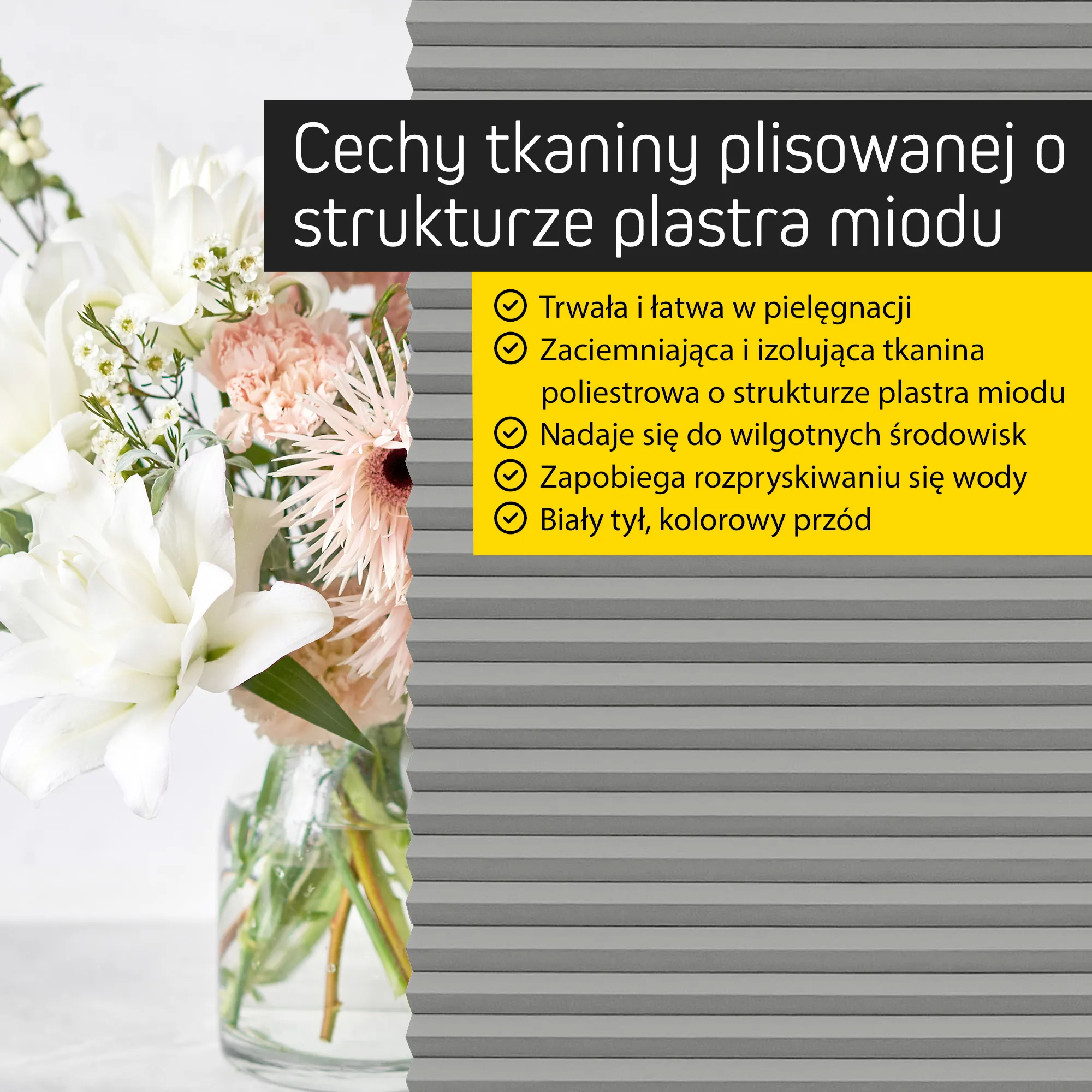 slider_image_019b2b6822d571ff8900c65c4d97bab0