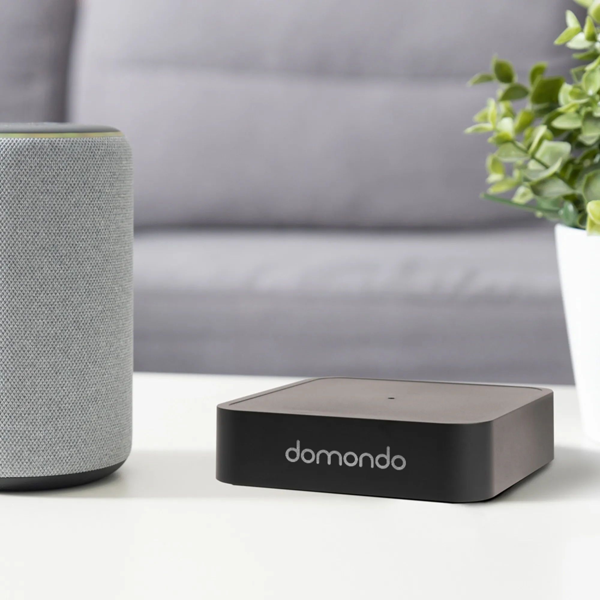 slider_image_019afd15f42776e7bbe85dd4cd834253