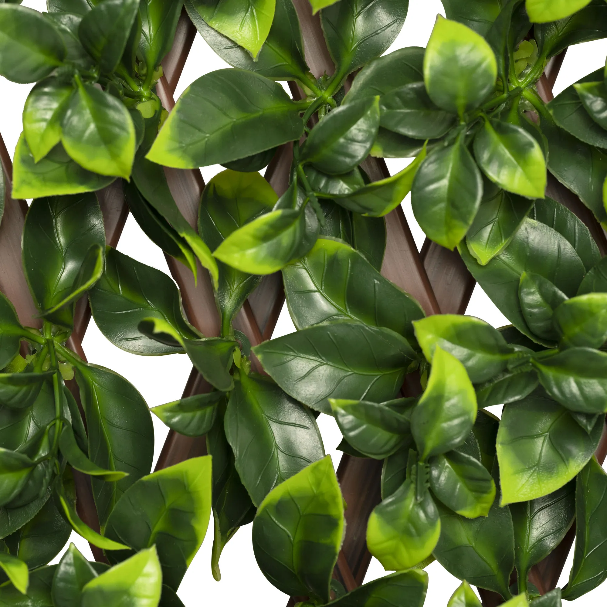 slider_image_0198f720bc9a73ddbde67990b54ca700