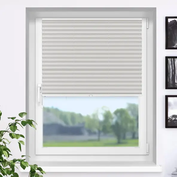 Fenster mit Plissee-Rollo, teilweise geschlossen, Blick nach draußen, Pflanze im Vordergrund