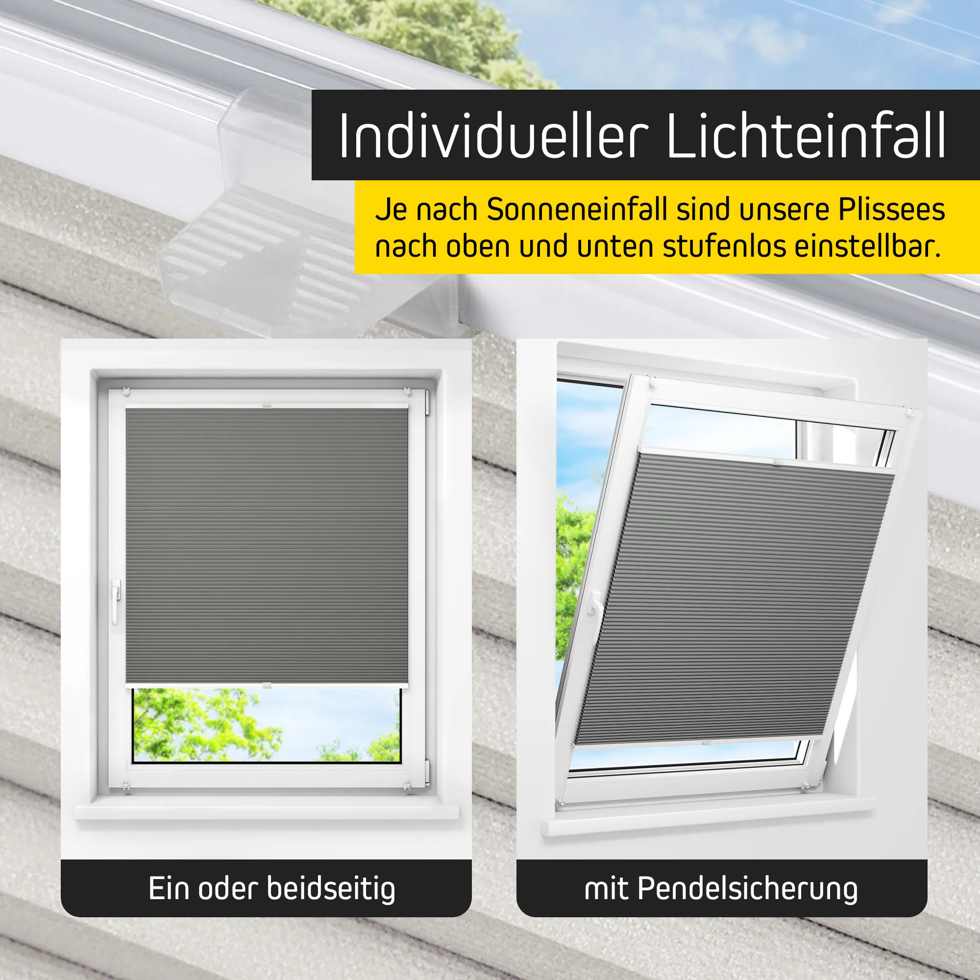 slider_image_019a9431e9f470288d7e07887d8fd672