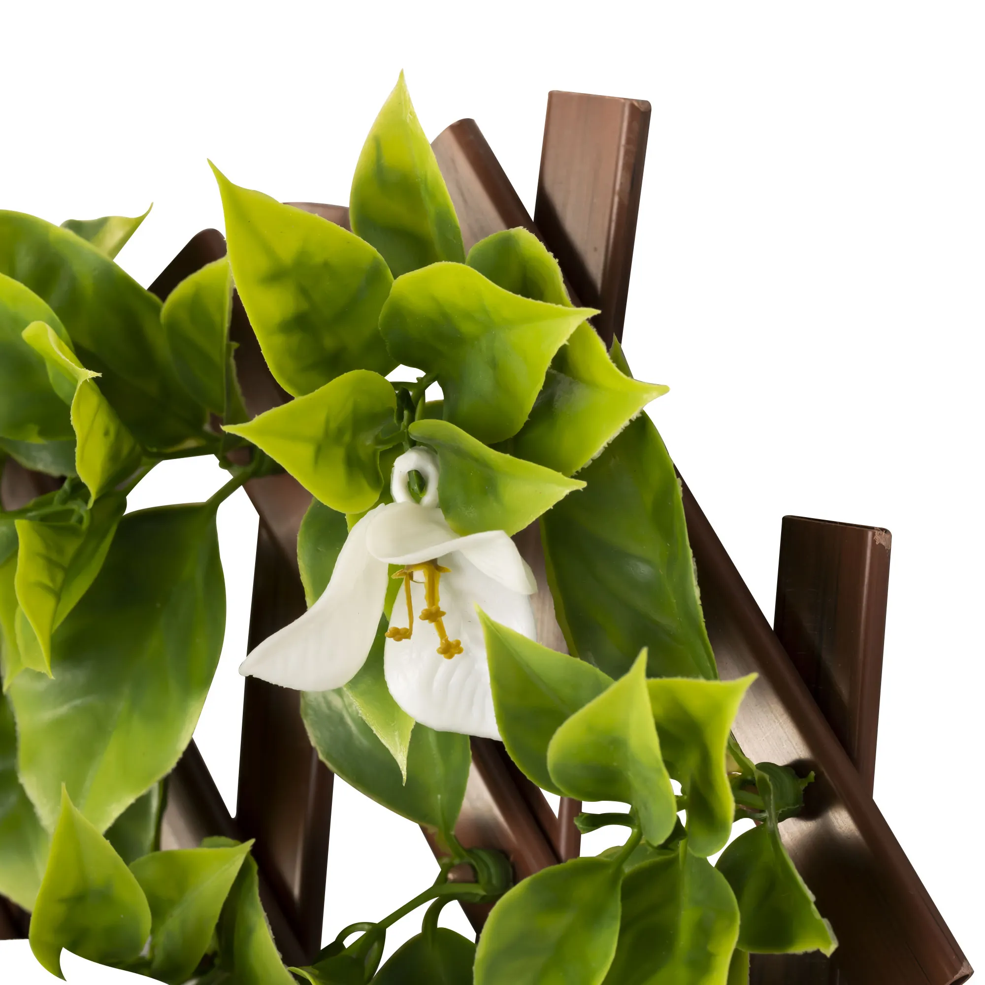 slider_image_019a934d444b70cbb55cca46e0fc09c6