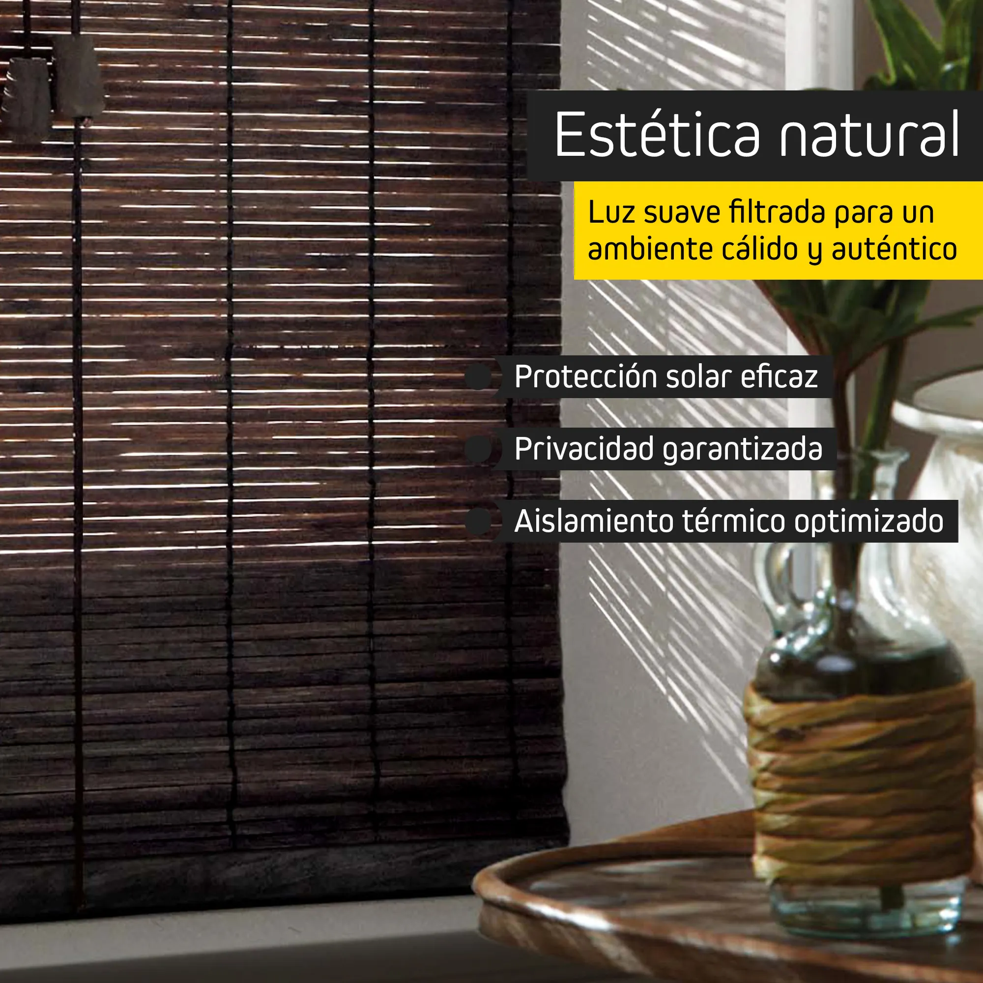 slider_image_019bea2faaa573ee9e5bdf1aaefac649