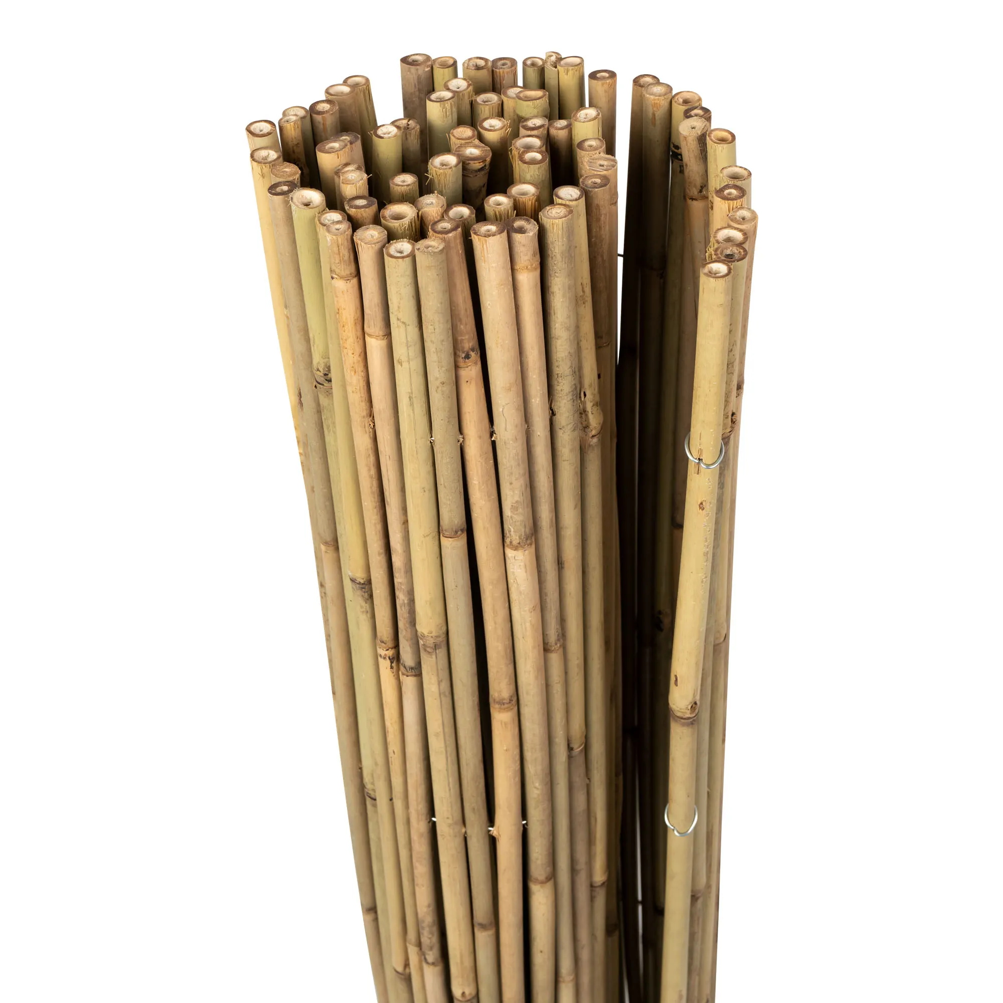 slider_image_0198f72219f57064a60ffd4e9b2c141c