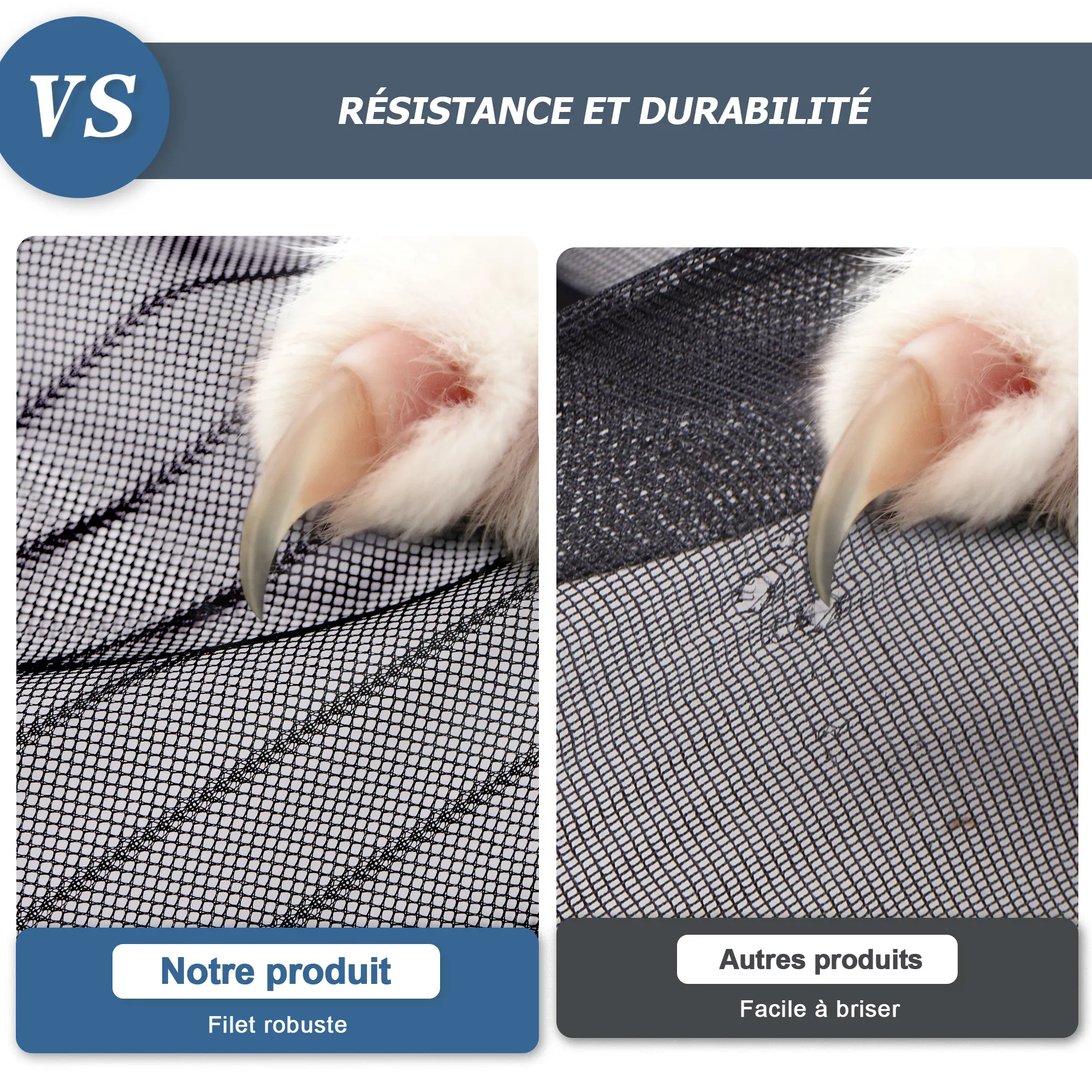 slider_image_019a7262bf8d7575872af49f5e7ae362