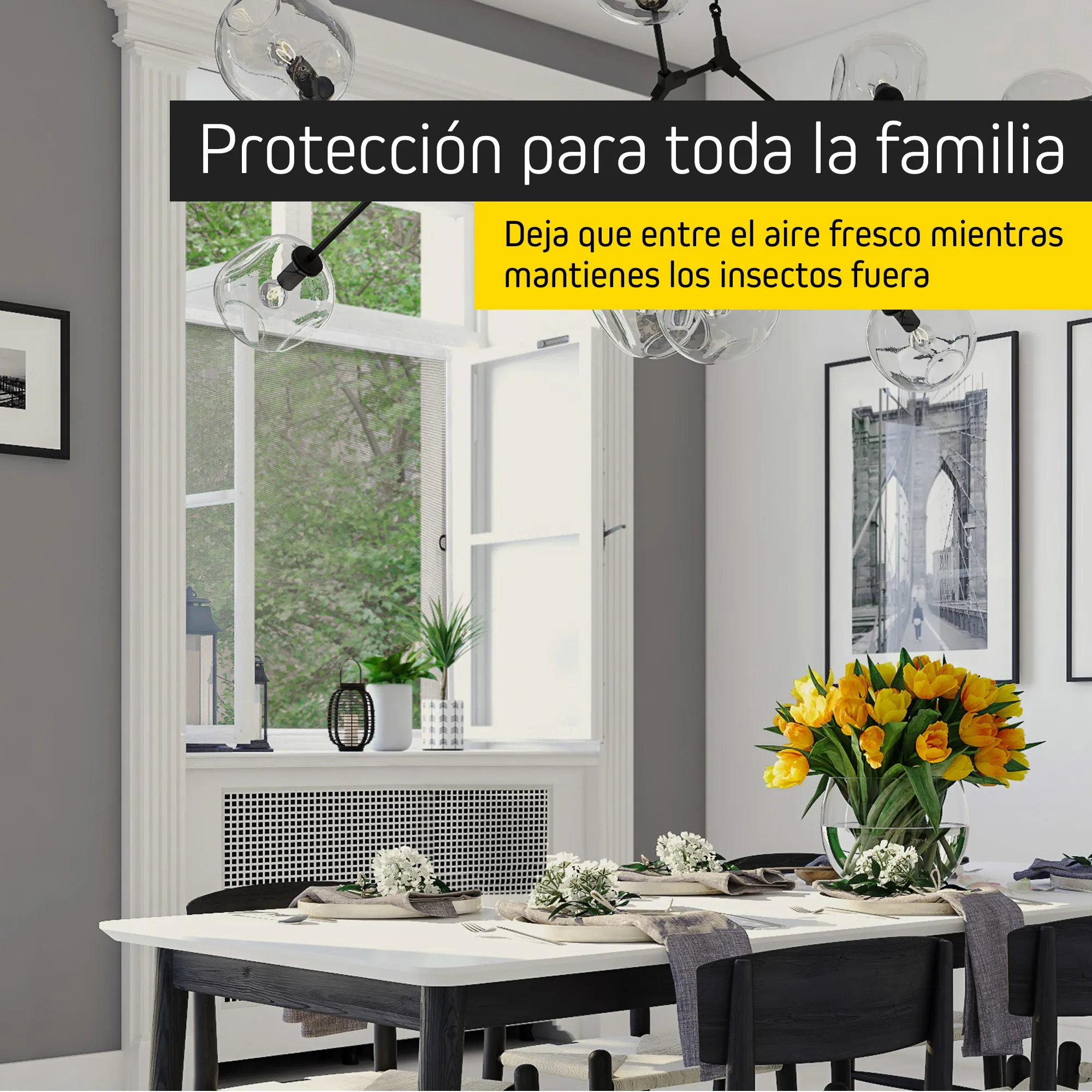 slider_image_019bf988746871c0ae3bf4f6e577529b