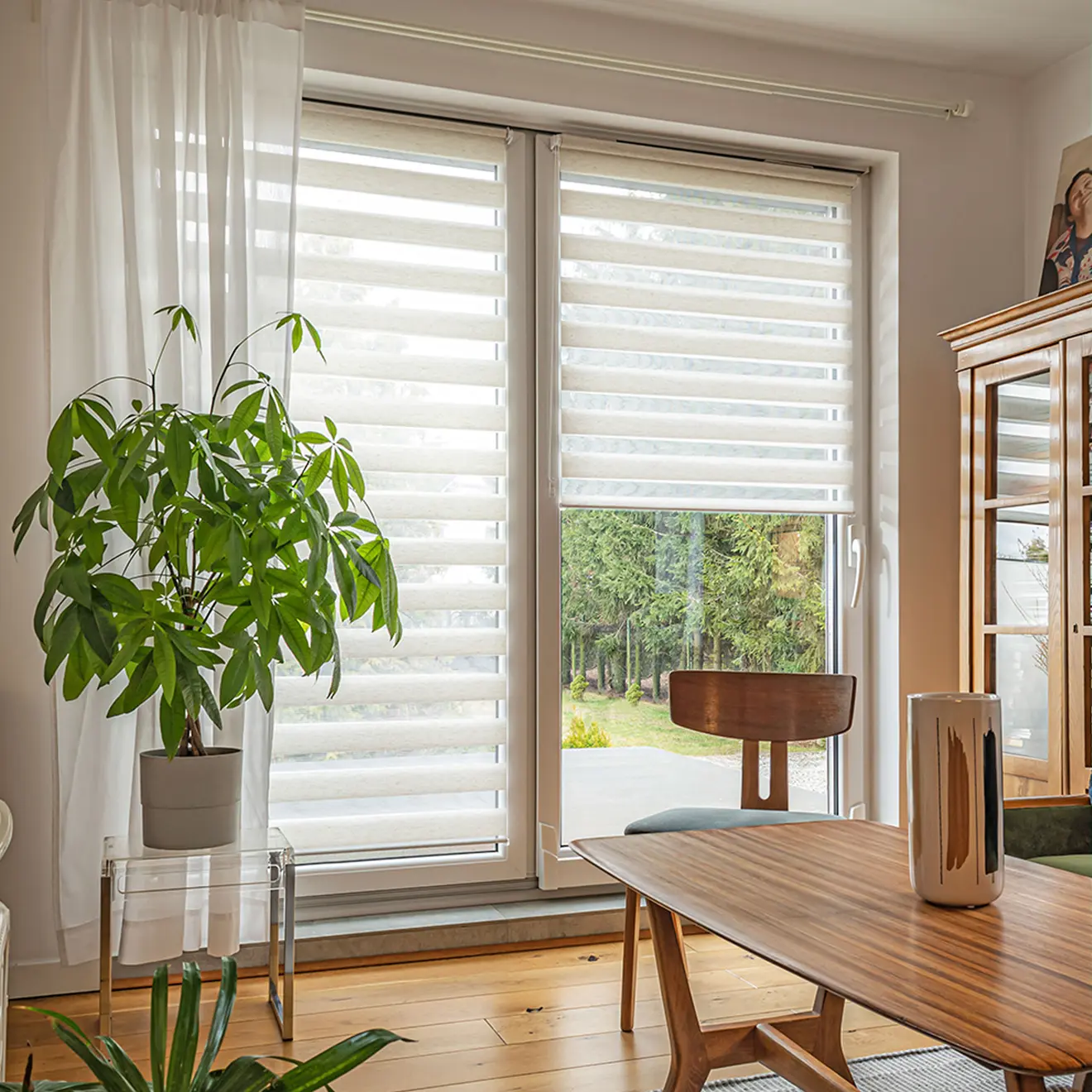 Elektrisches Smart Doppelrollo an Fenster in modernem Wohnraum mit Pflanzen und Möbeln