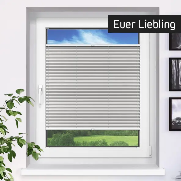 Fenster mit Plissee-Rollo, teilweise geöffnet, Blick auf Landschaft und Himmel