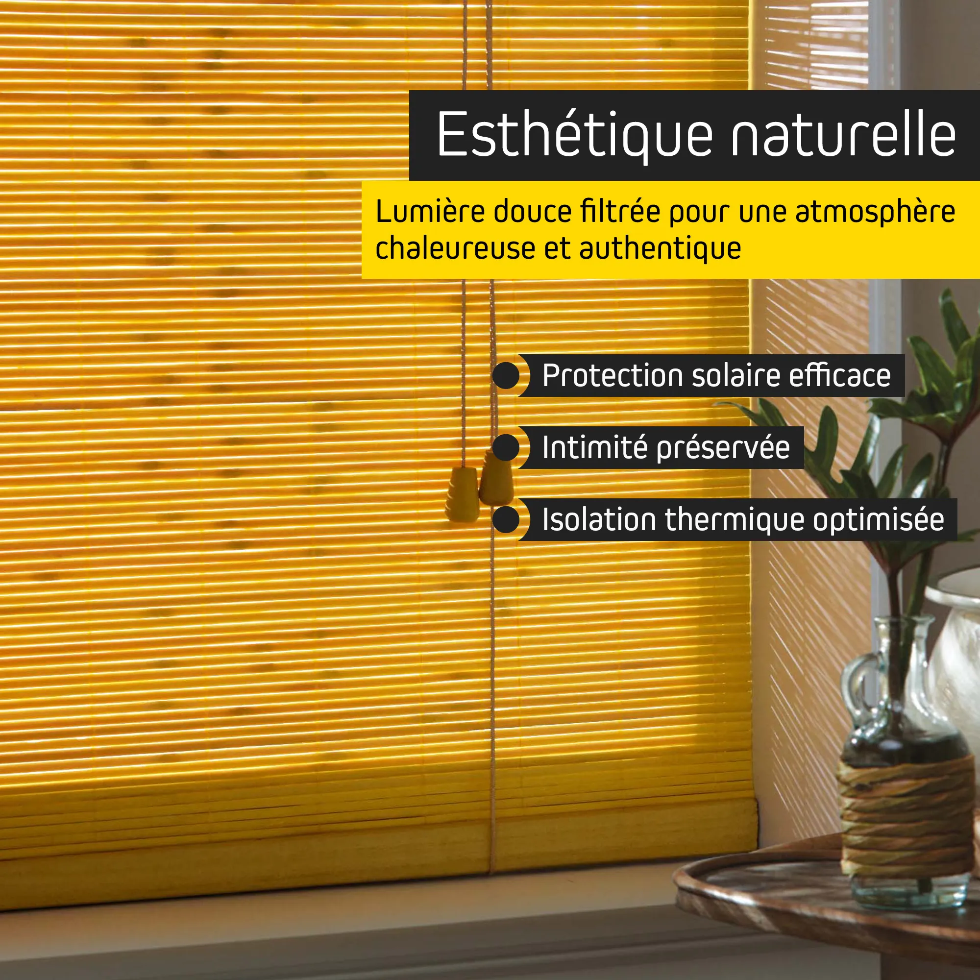 slider_image_019b26a8c42370d7b6ad8aaaea754316