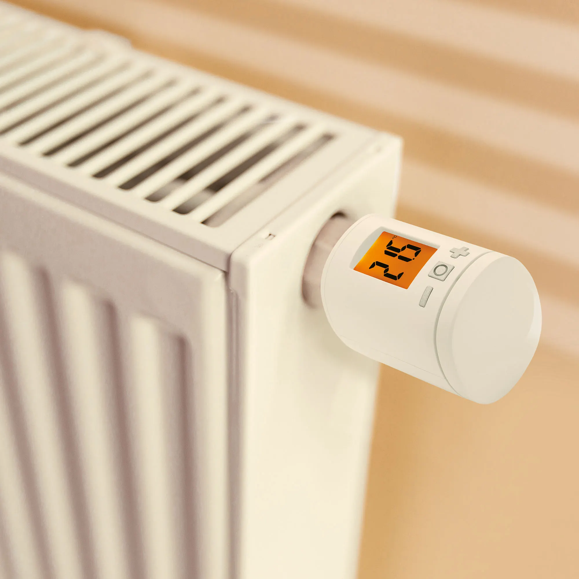 slider_image_0194ffce20477360a4026359647a9679