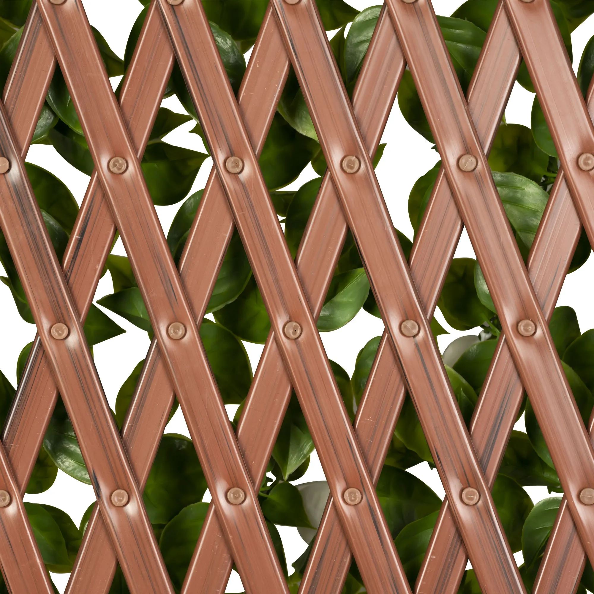 slider_image_019a826e62e372068a5301b25b12bba1