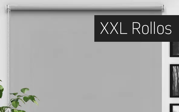 XXL-Rollo mit Kettenzug, montiert an einer Wand, neben Pflanzen und Bildern
