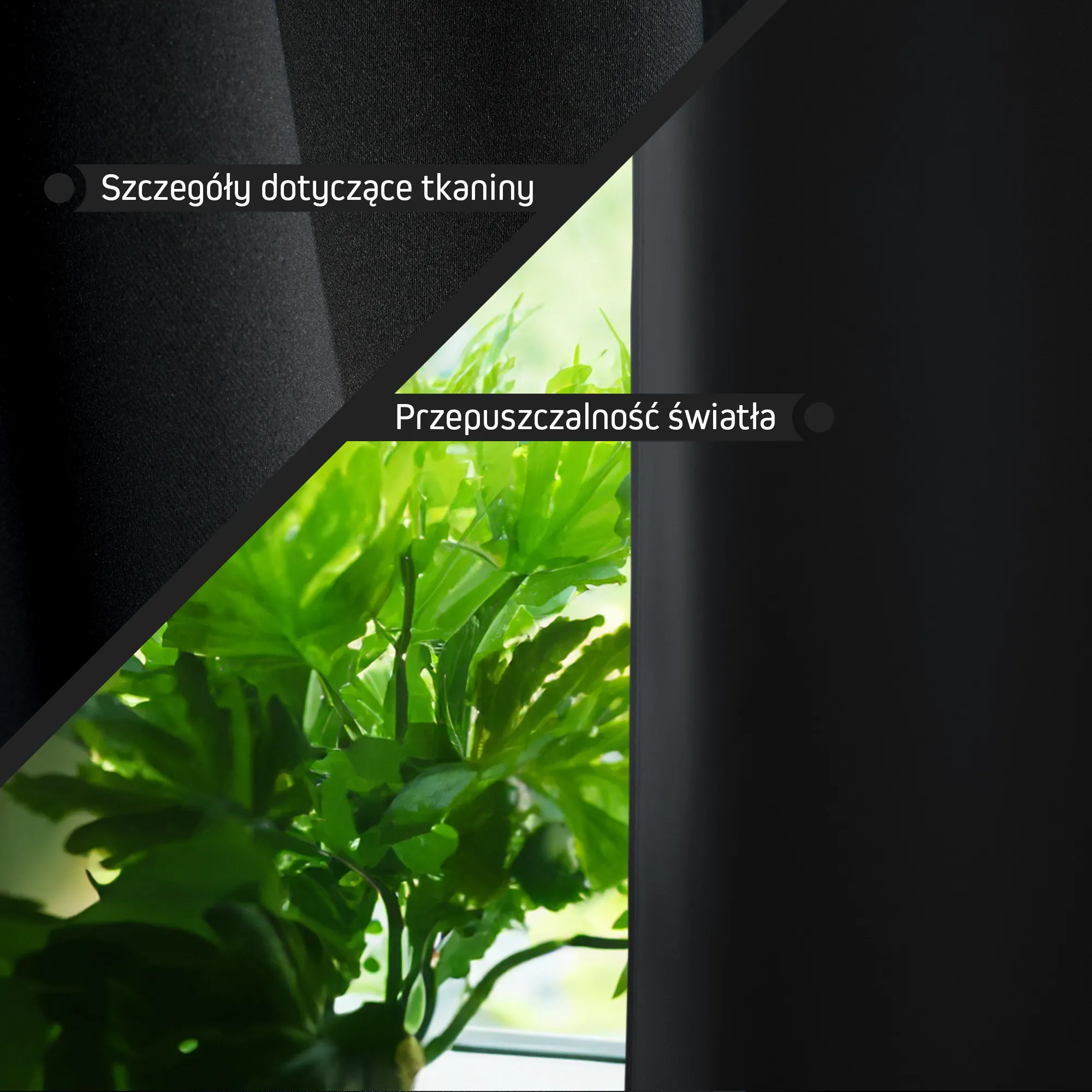 slider_image_019bff22639b797d9ffeb67ac31e495a