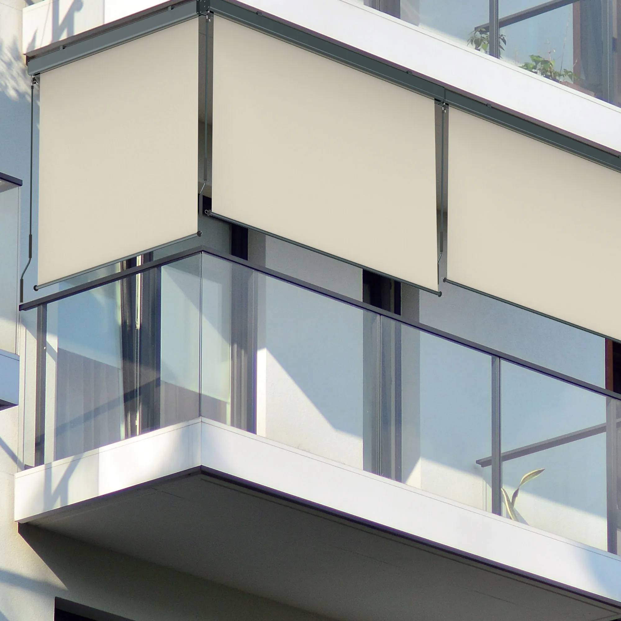 Toldo Vertical 2000 con Cajón & Manivela | 1,2 x 2,5 m, antracita/beige