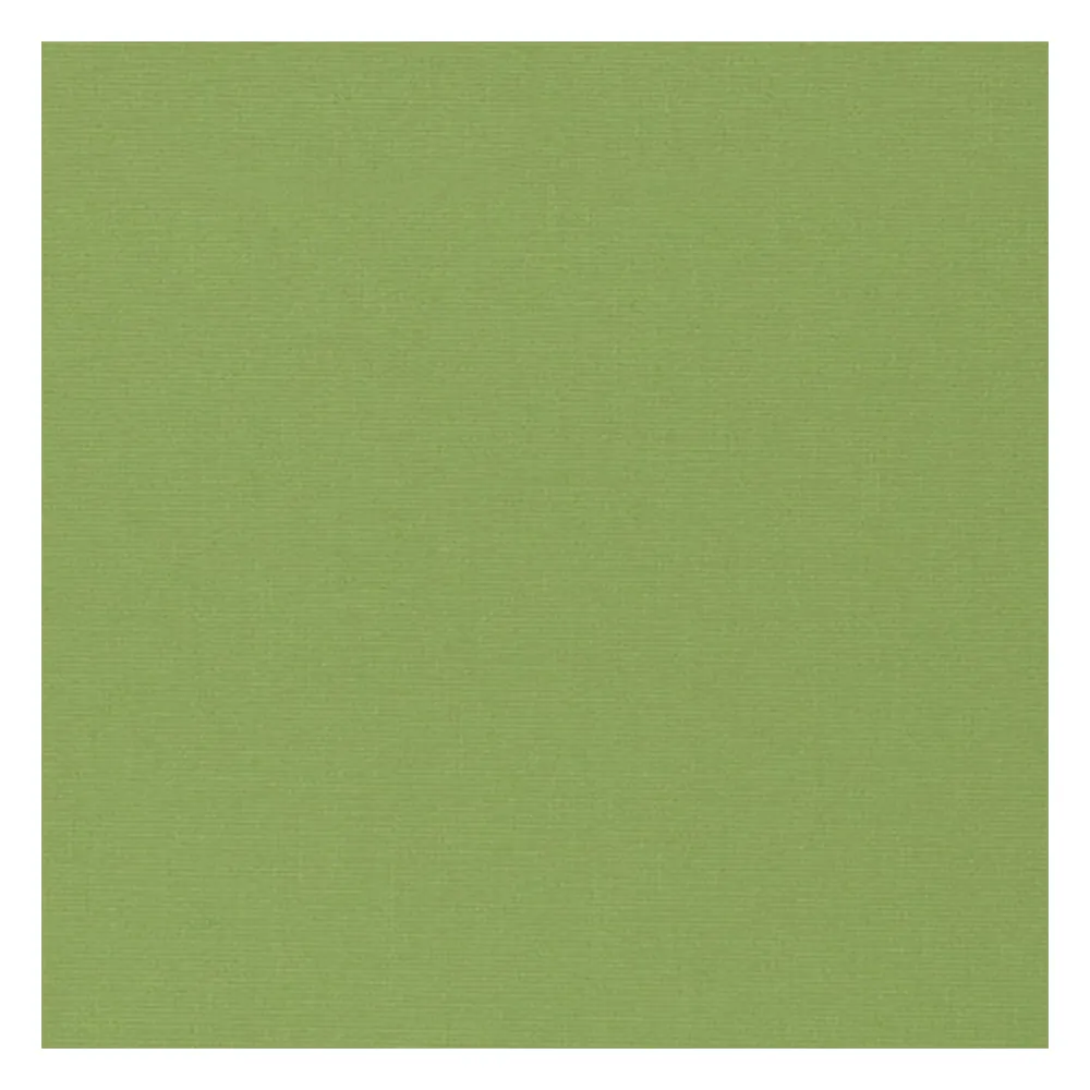 Échantillon tissu pour store enrouleur sur mesure | A-1622 vert / translucide / Athènes