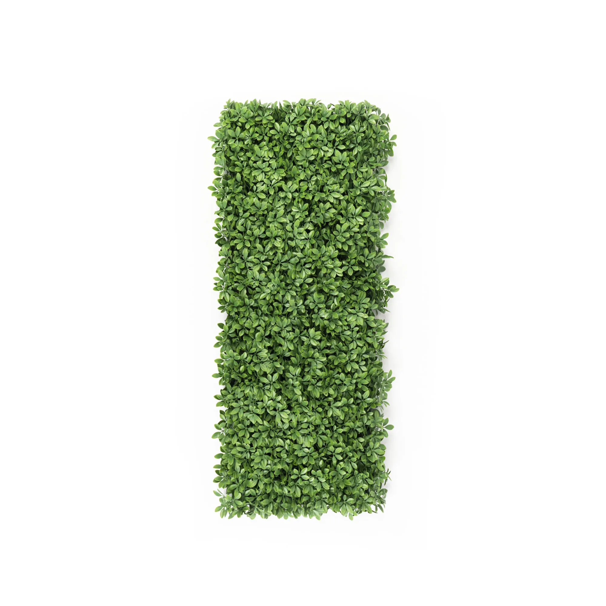 Parete di piante artificiali con foglie dense per decorazione e design degli spazi