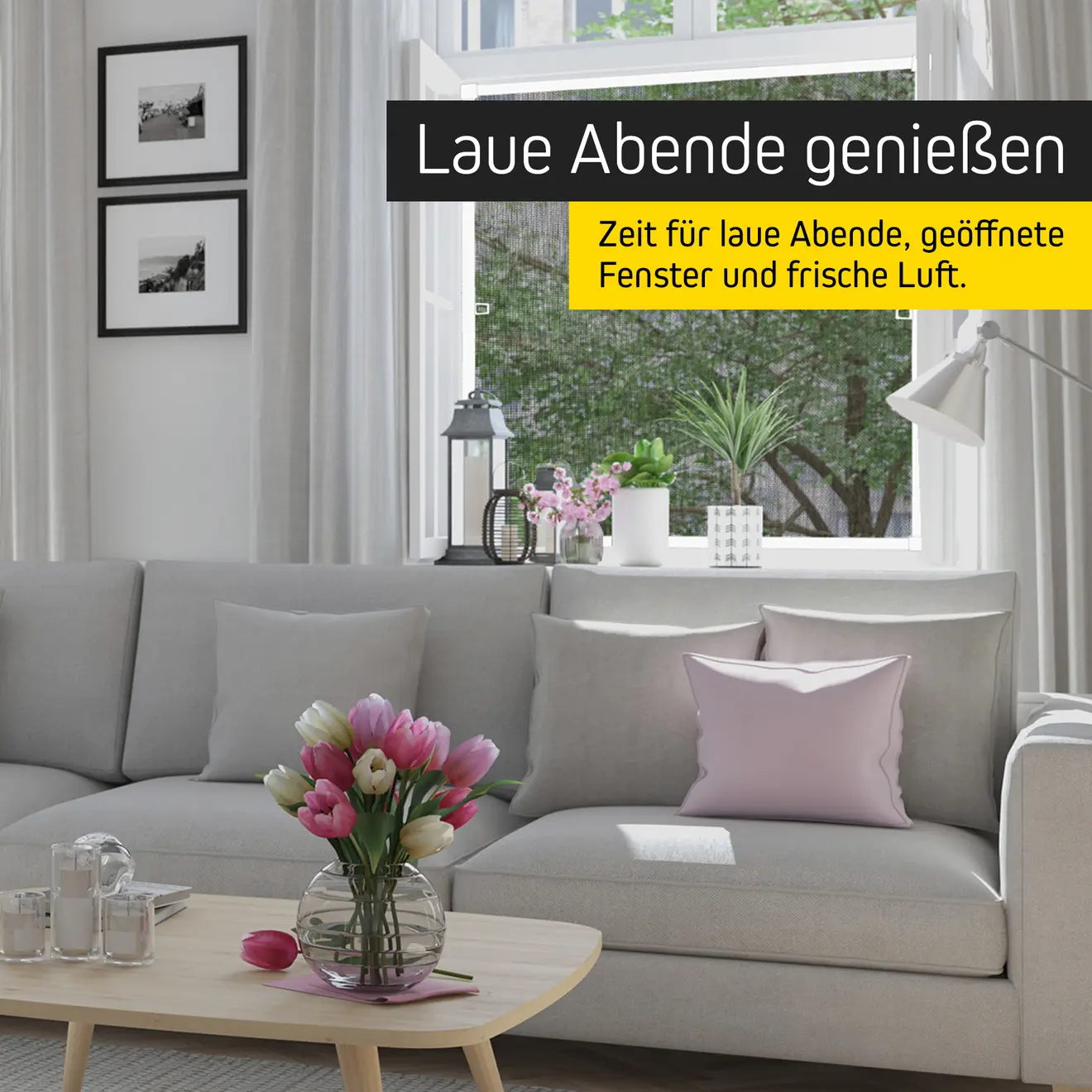 Laue Abende genießen