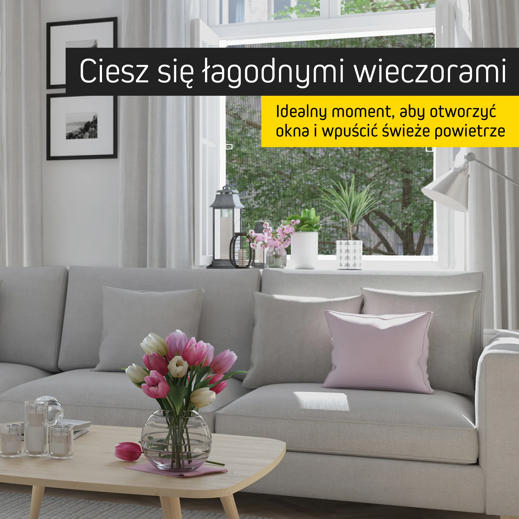 slider_image_019b9d214361733d87b613c2efd782dc