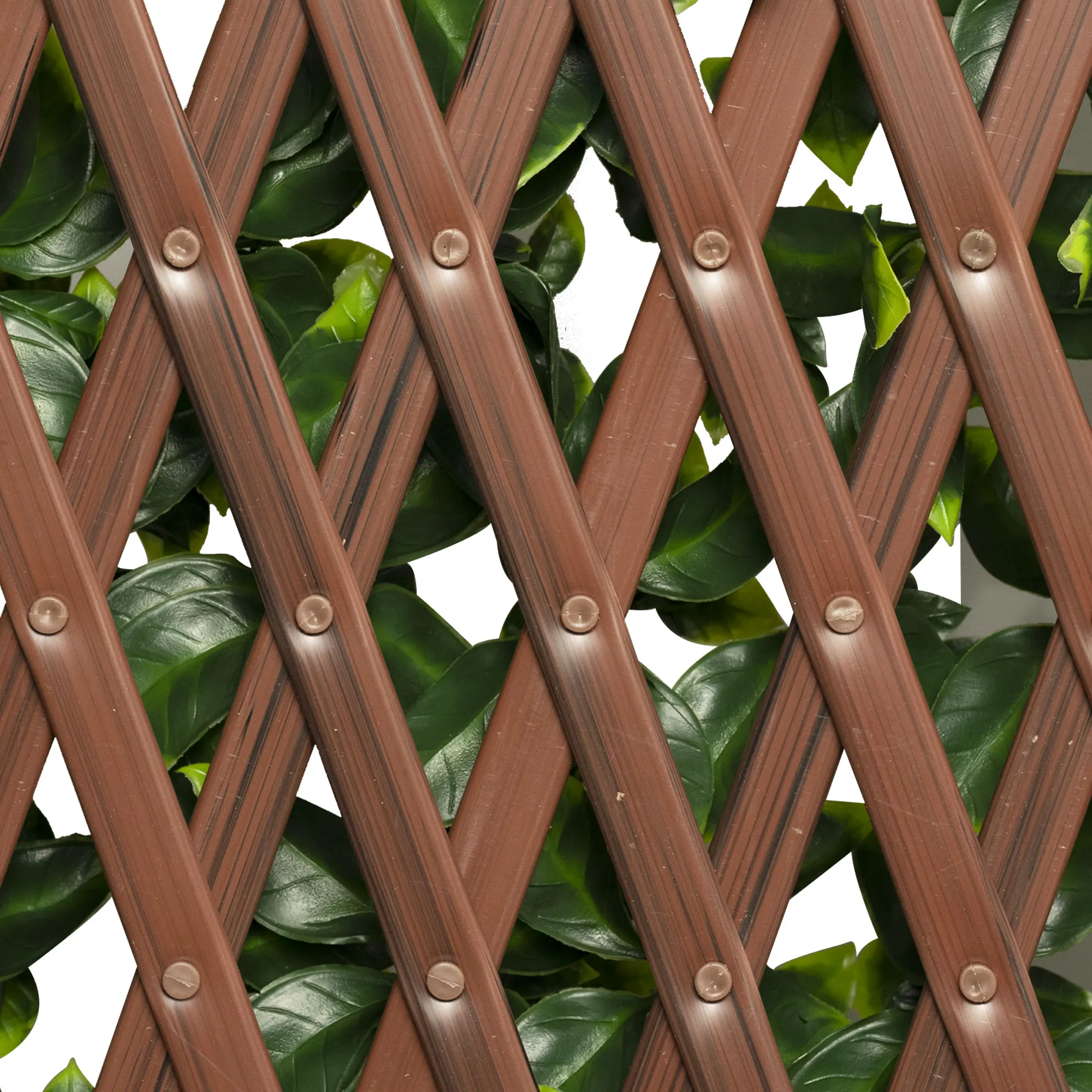 slider_image_019a934d08d47131a23a27d81949c27f