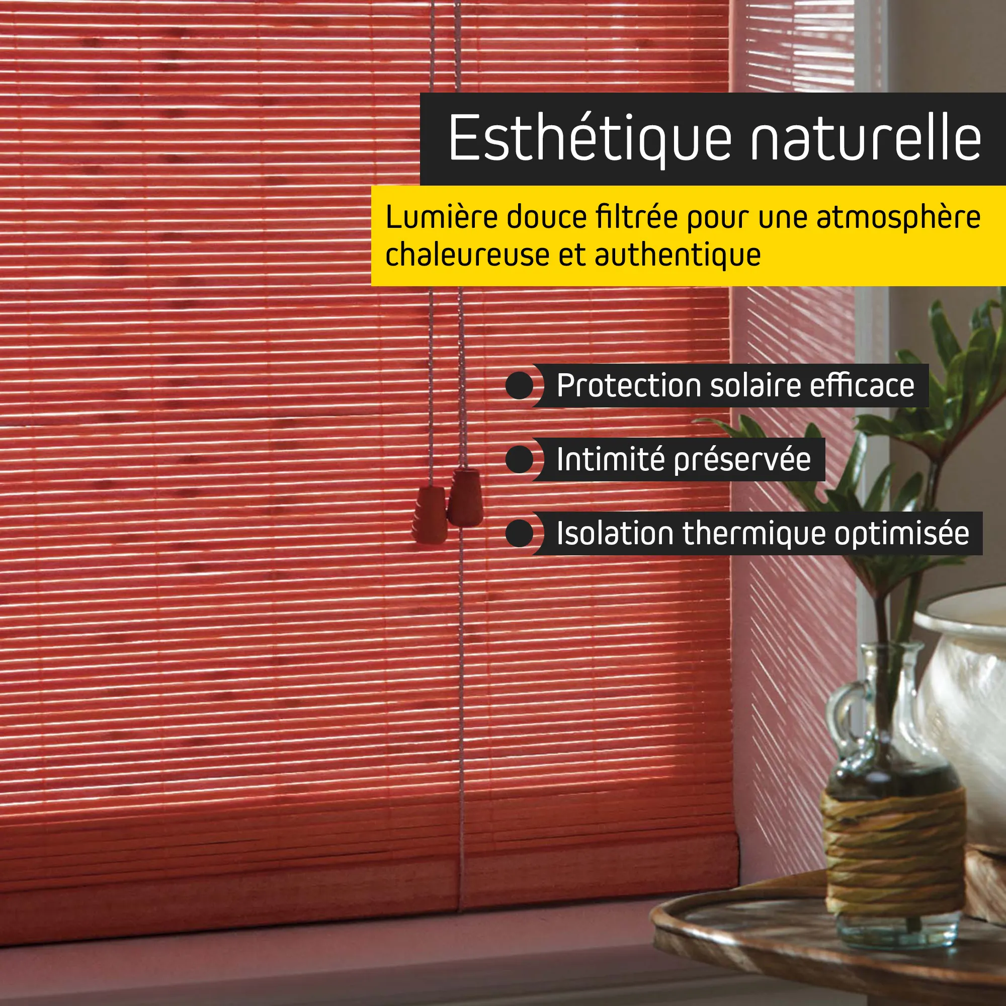 slider_image_019b26a8c42370d7b6ad8aad0b286d64