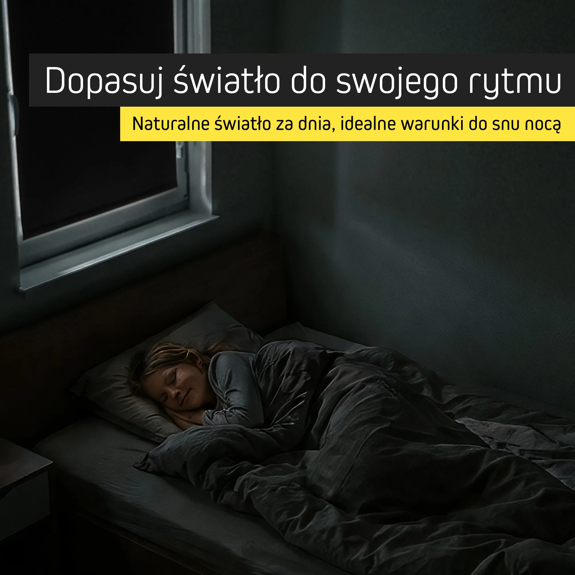 slider_image_019d432804667f9dbfa240a74c247d0b