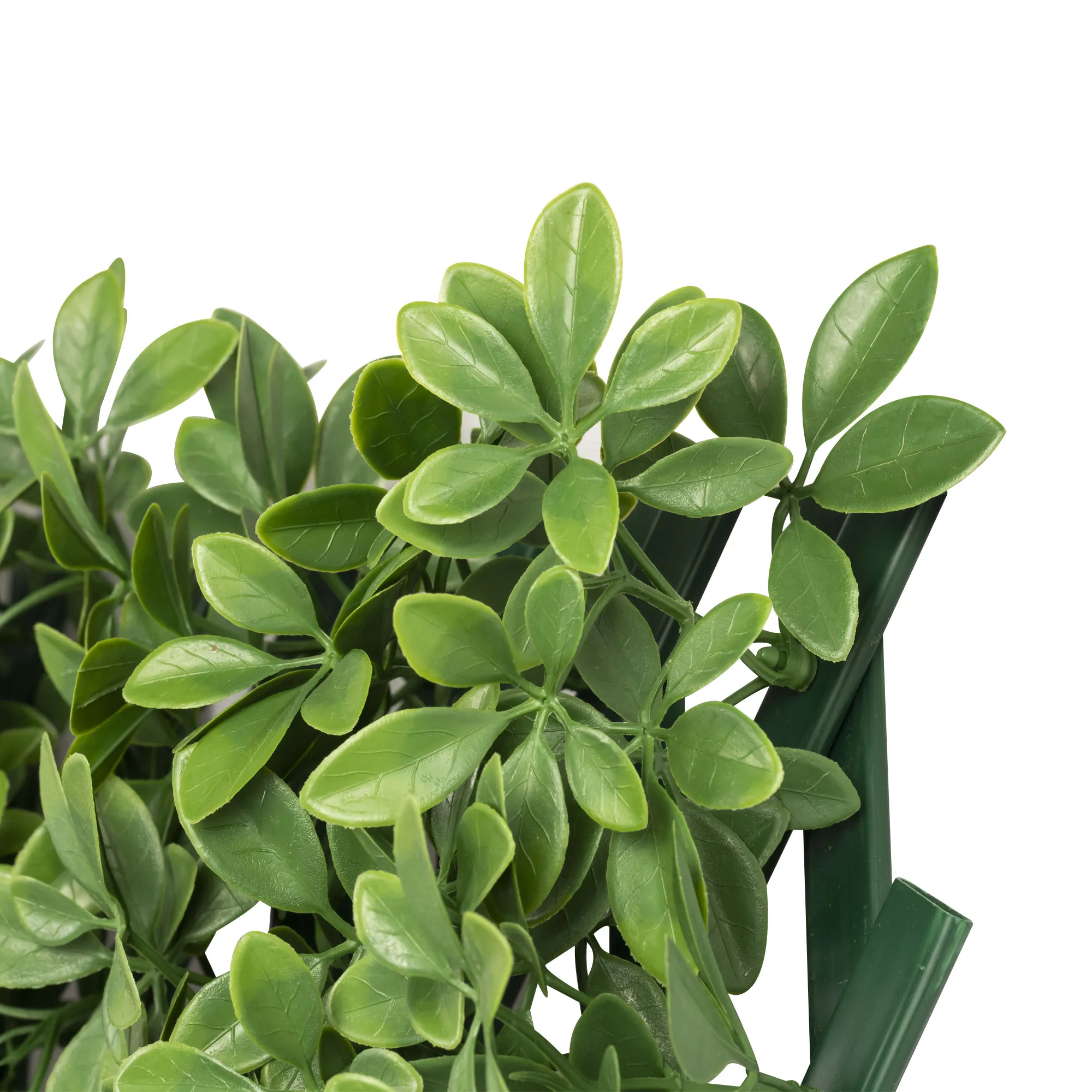 slider_image_0194ff3e22a570d49c5e0ad533620c25